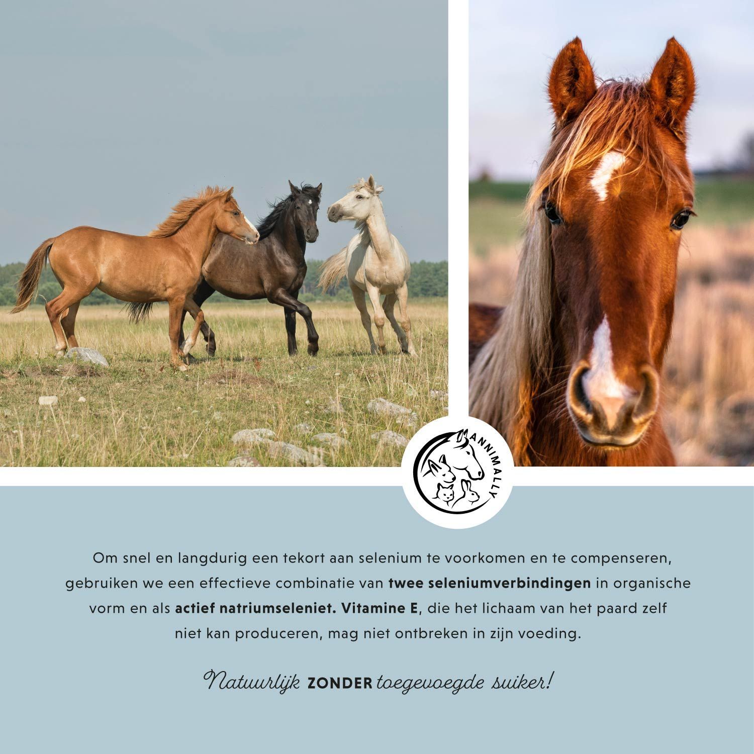Voedingsaanbevelingen voor paarden. Logo met paard en konijn. Hartsymbool. Gemaakt in Duitsland. Inhoud: 800 g.