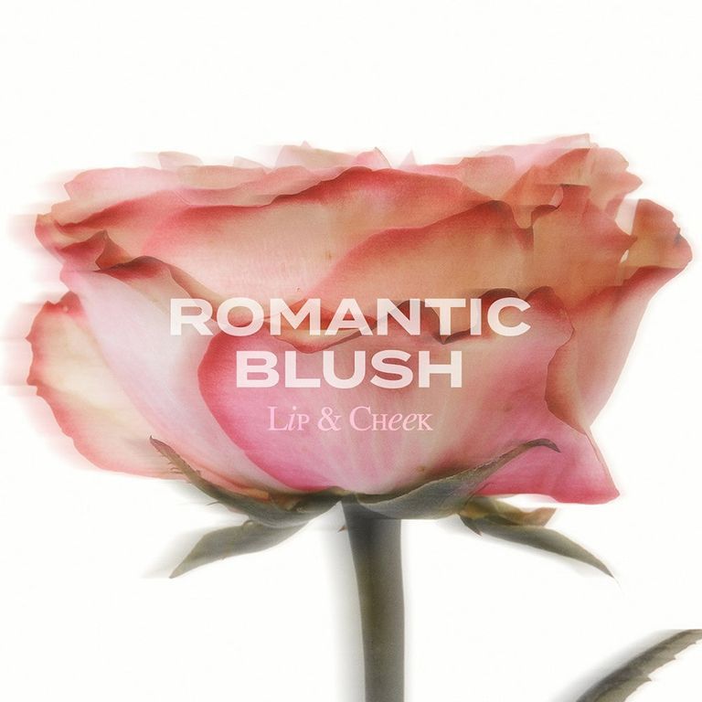 Une rose rose tendre avec le texte 'ROMANTIC BLUSH Lip & Cheek'.