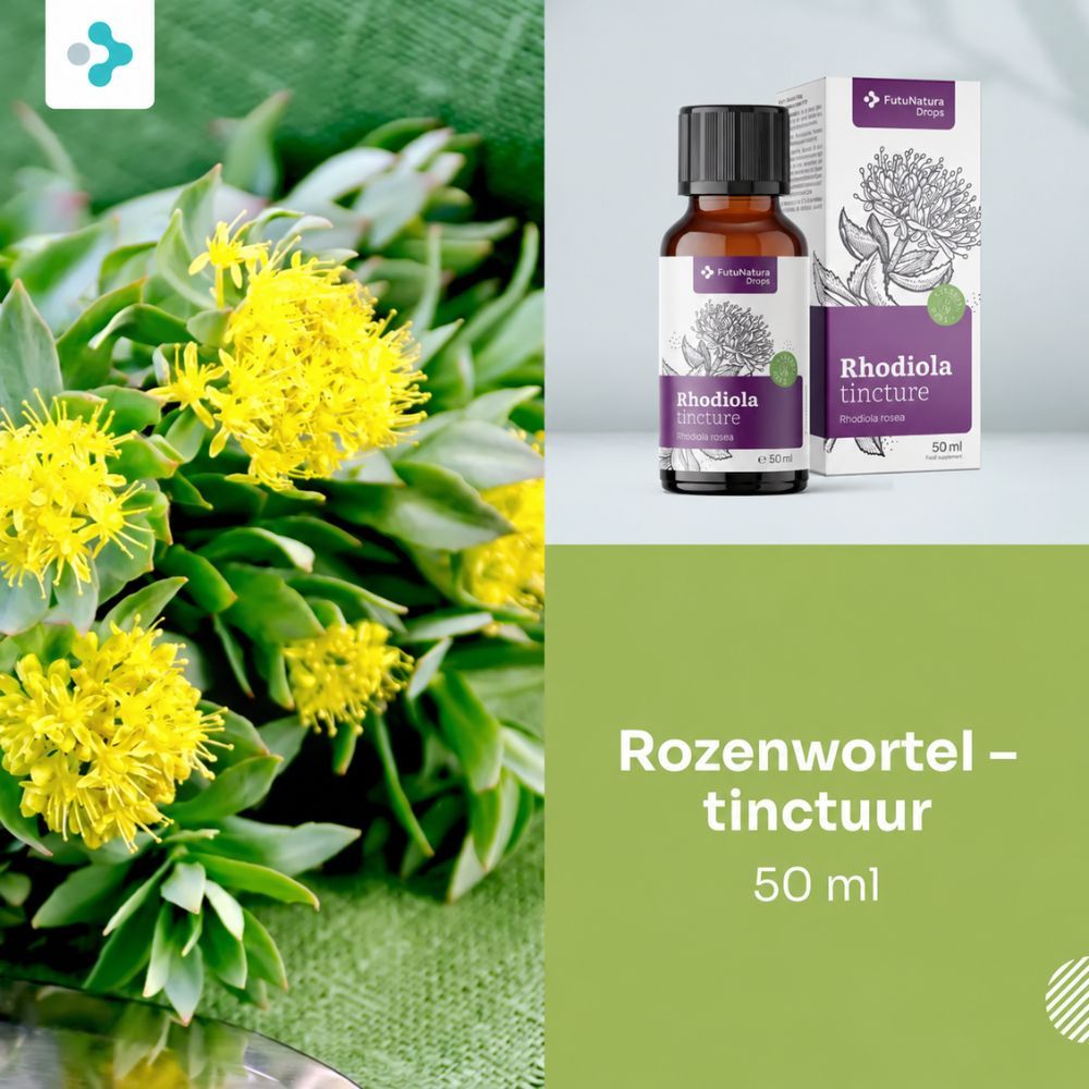 Close-up van Rhodiola Rosea planten met gele bloemen.