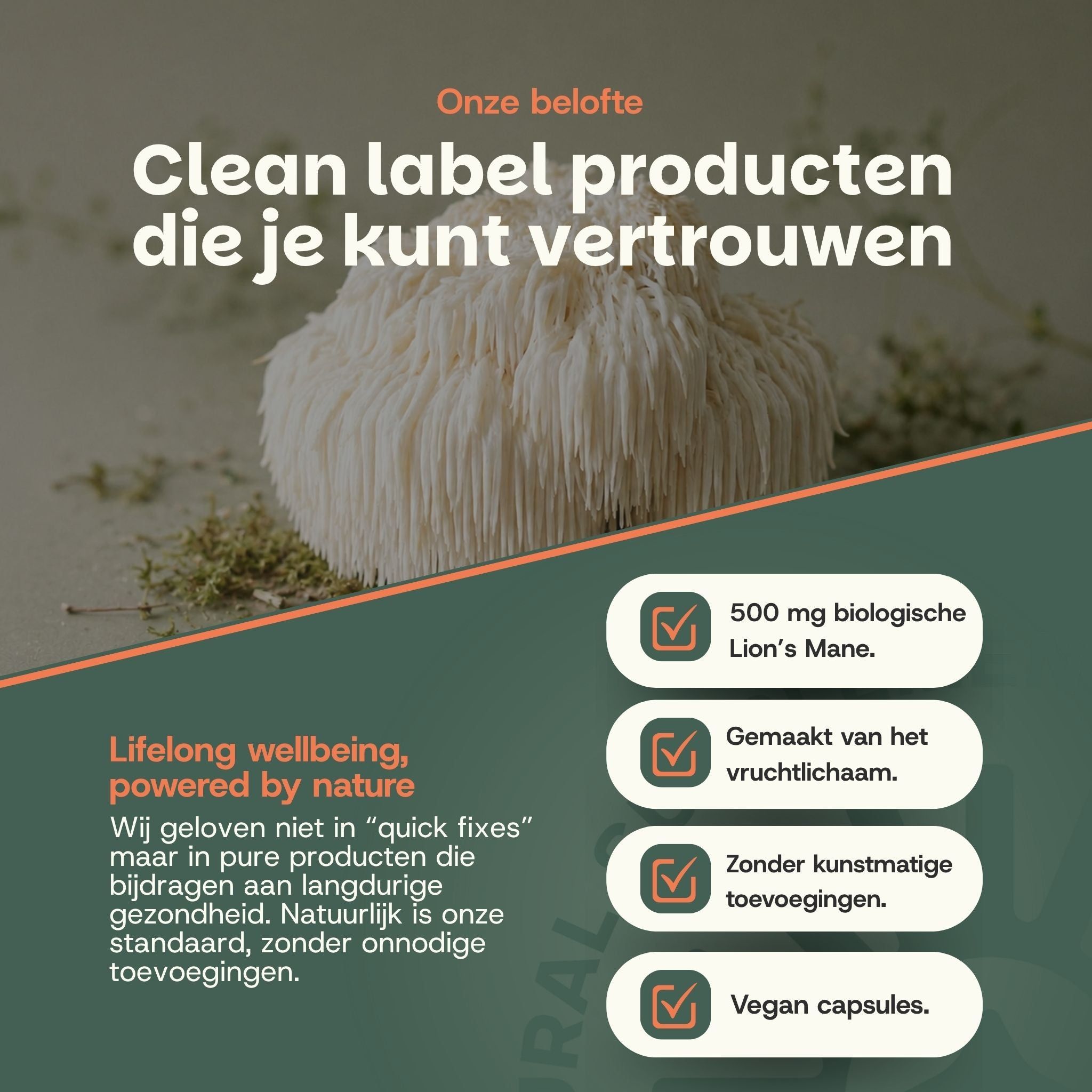 Een grote, witte paddenstoel met fijne, hangende vezels, rustend op mos en kleine plantjes. Ernaast staan vinkjes met informatie over de ingrediënten.
