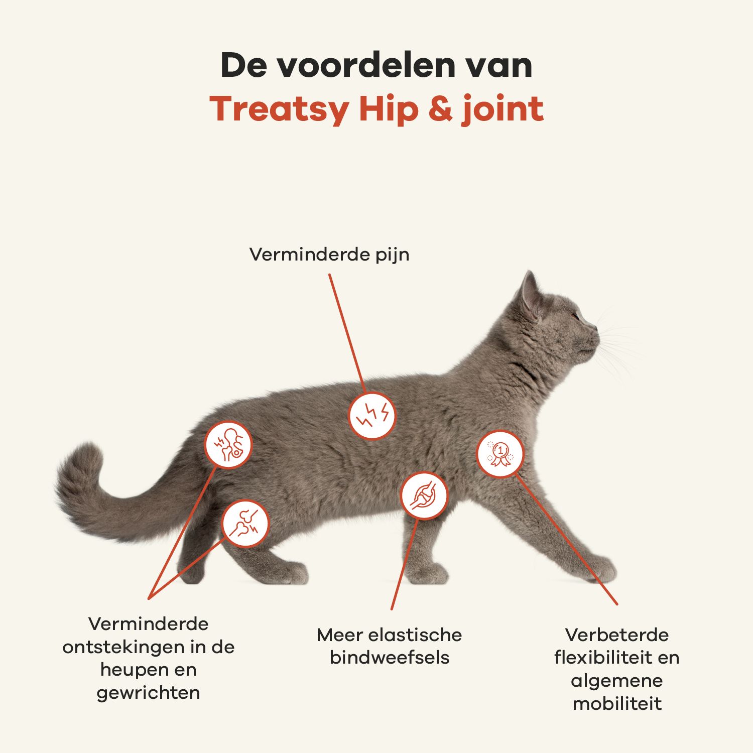 Cilindervormige bus met zwarte deksel. Opschrift: Treatsy, hip & joint, Mobiliteit. Voor honden & katten. 250 ml.