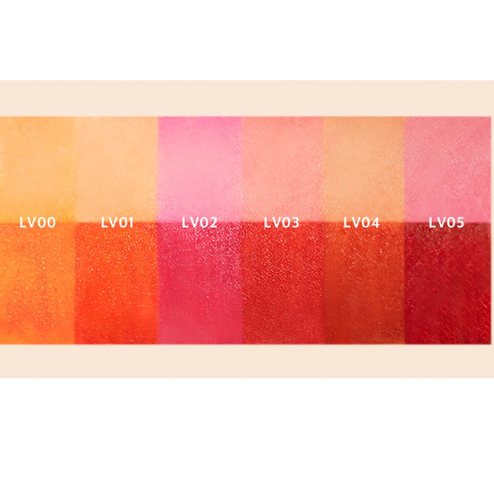 Palette de couleurs avec six teintes. Du orange clair au rouge foncé. Noms des couleurs: LV00 à LV05.
