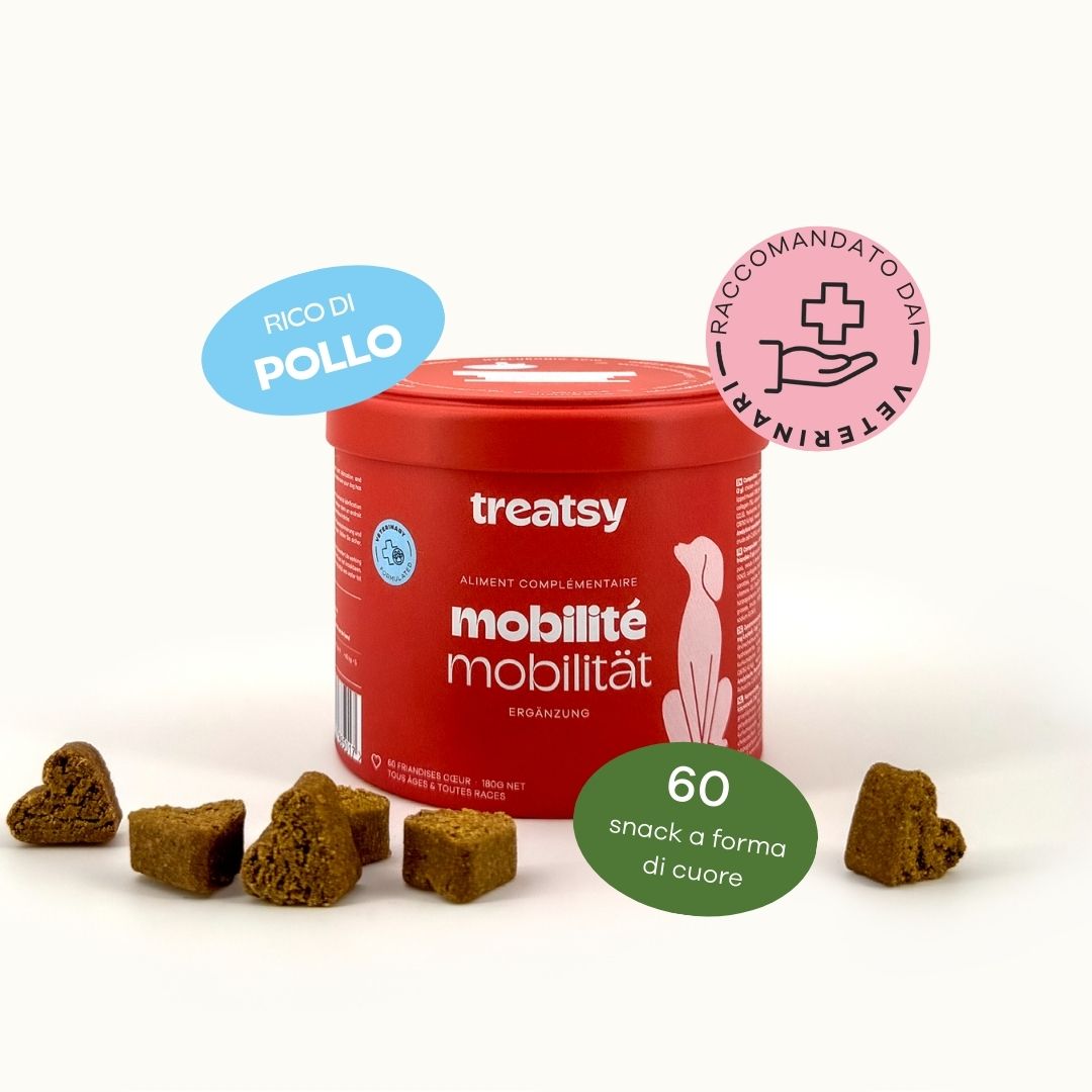 Boîte rouge Treatsy, mobilité. Friandises en forme de cœur. Recommandé par des vétérinaires.