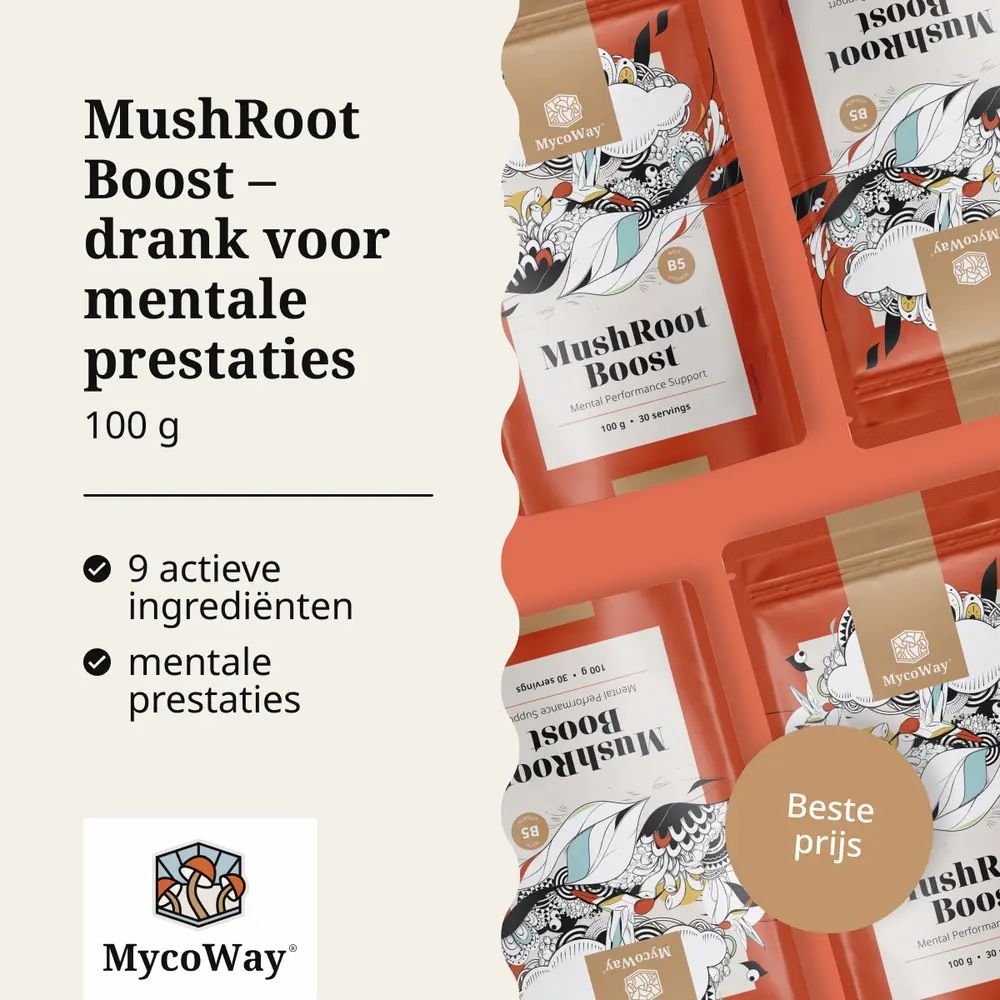 MycoWay MushRoot Boost zakje. Tekst: Drank voor mentale prestaties. 100 g. 9 ingrediënten.