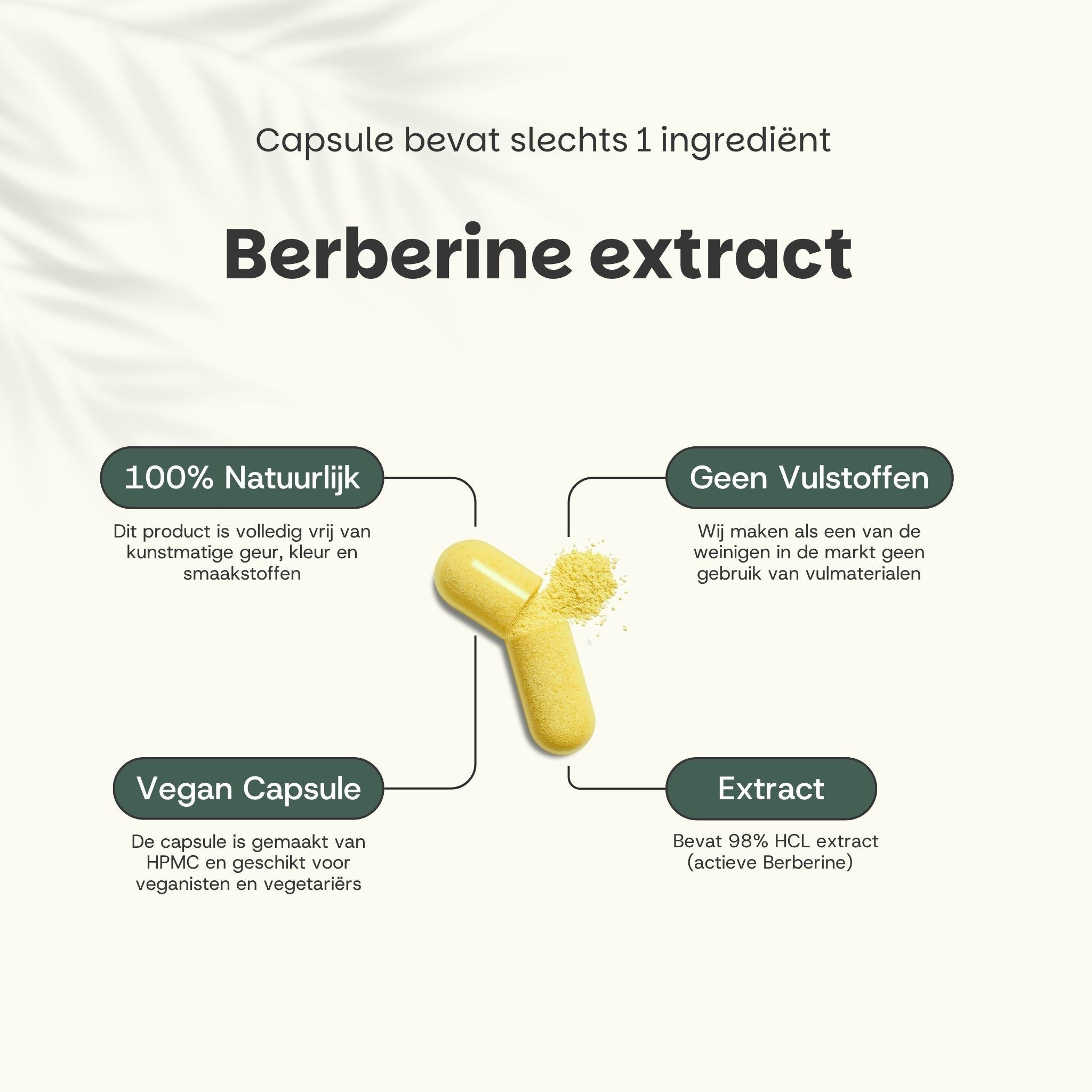 Afbeelding van een gele berberine capsule. Tekst met informatie over de inhoud.