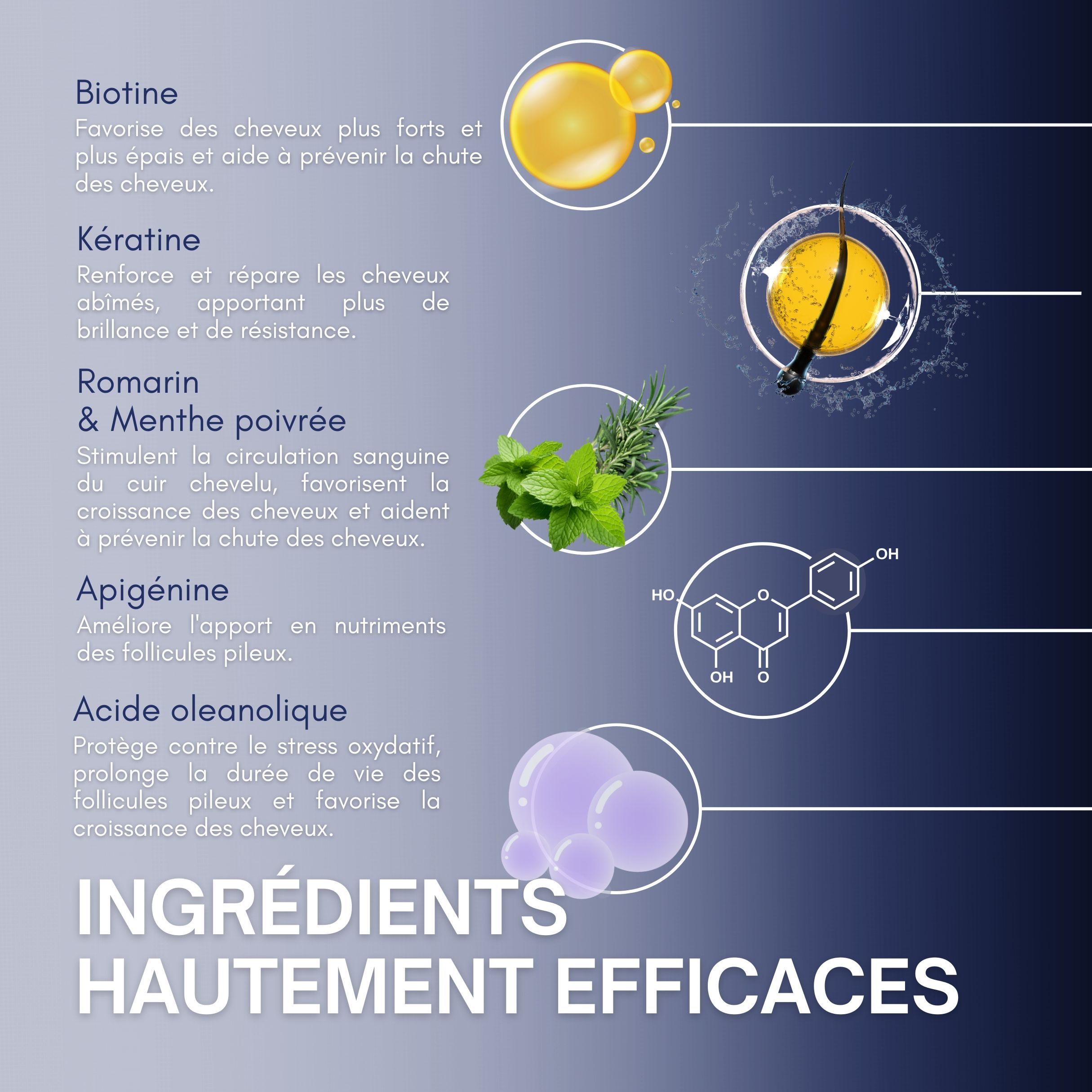 Représentation graphique des ingrédients. Biotine, Kératine, Romarin & Menthe poivrée, Apigénine, Acide oléanolique. Texte : Ingrédients.