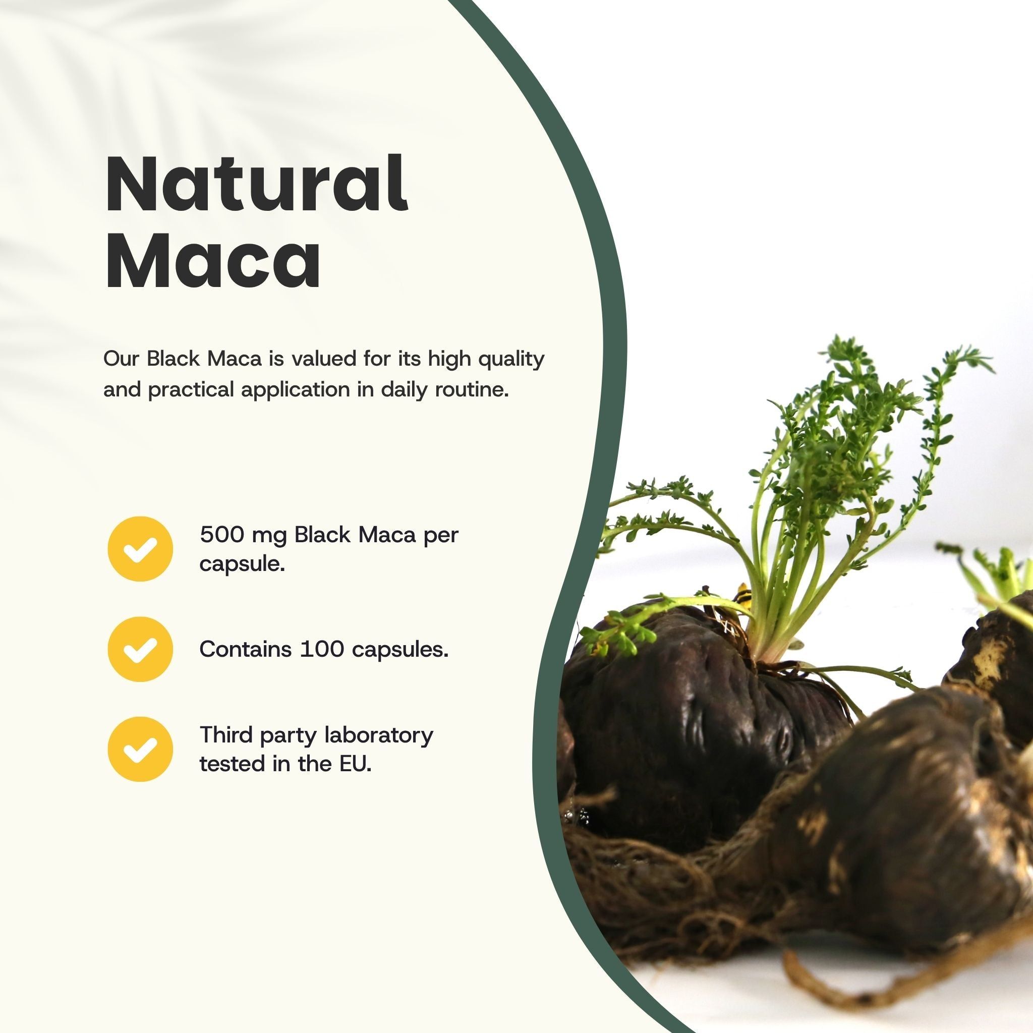 Sachet de gélules. Inscription : Black Maca Organic Supplements. 100 gélules. Deux gélules à côté. Texte sur fond vert.