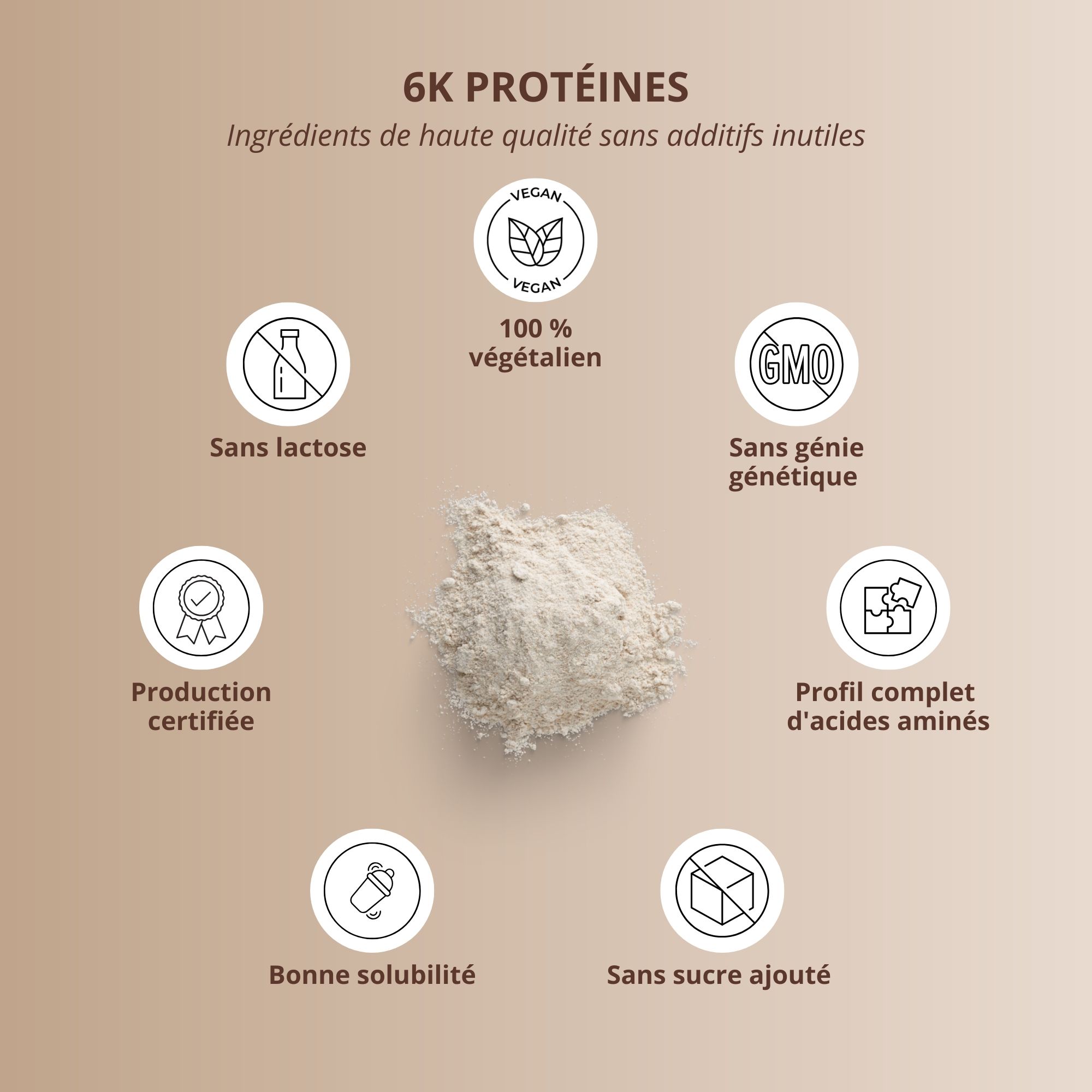 Disposition circulaire avec poudre de protéine 6K et icônes : sans lactose, vegan, sans OGM, profil d'acides aminés, etc.