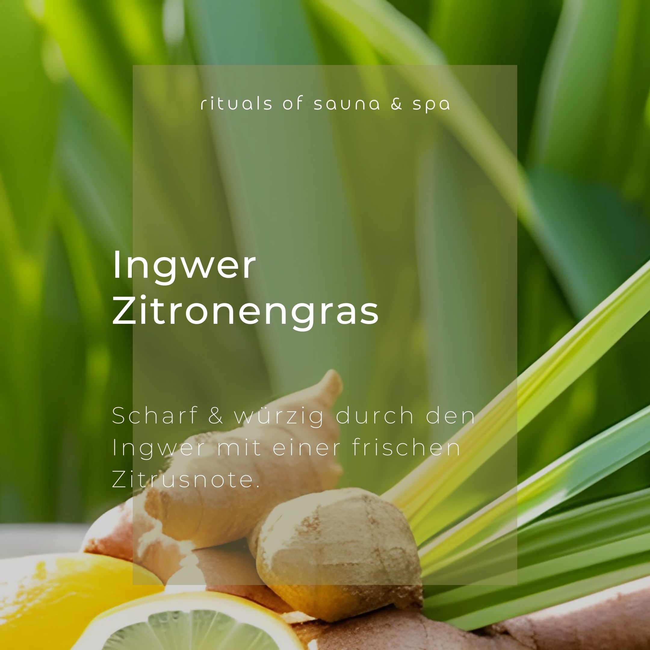 Gember, citroengras en citroenschijfjes. Tekst: Gember Citroengras. Pittig en kruidig met een frisse citrusnoot.
