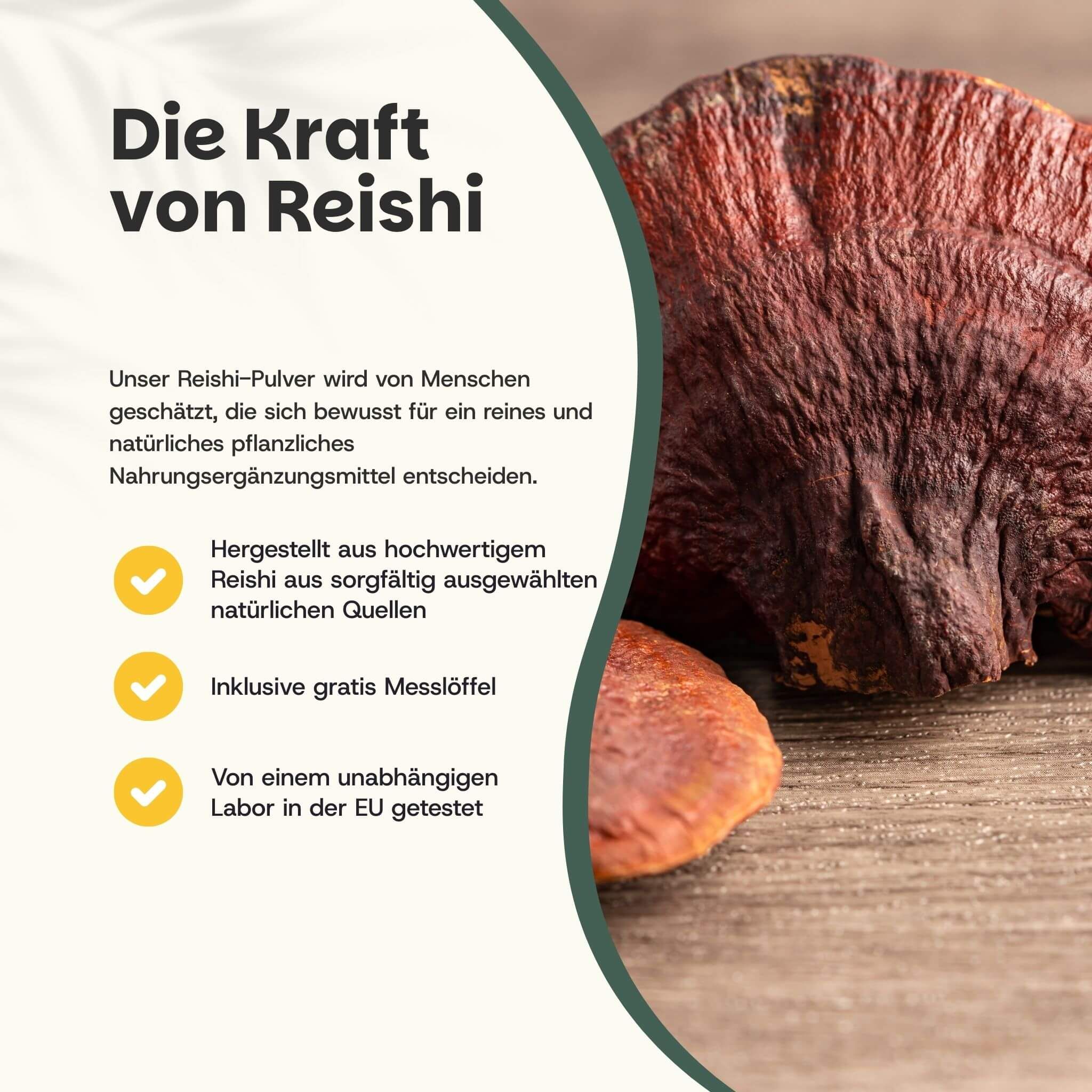 Poudre de champignon Reishi, fabriquée à partir de Reishi de haute qualité provenant de sources naturelles, cuillère doseuse incluse.