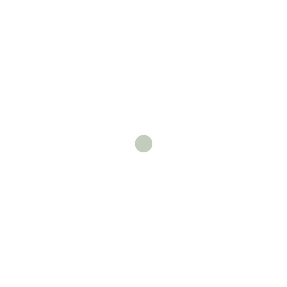 Un cercle vert clair sur fond blanc.