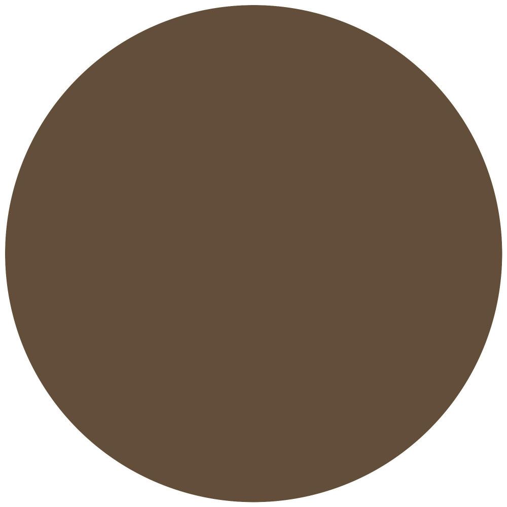 Tache de couleur circulaire marron. Aucun autre détail visible.