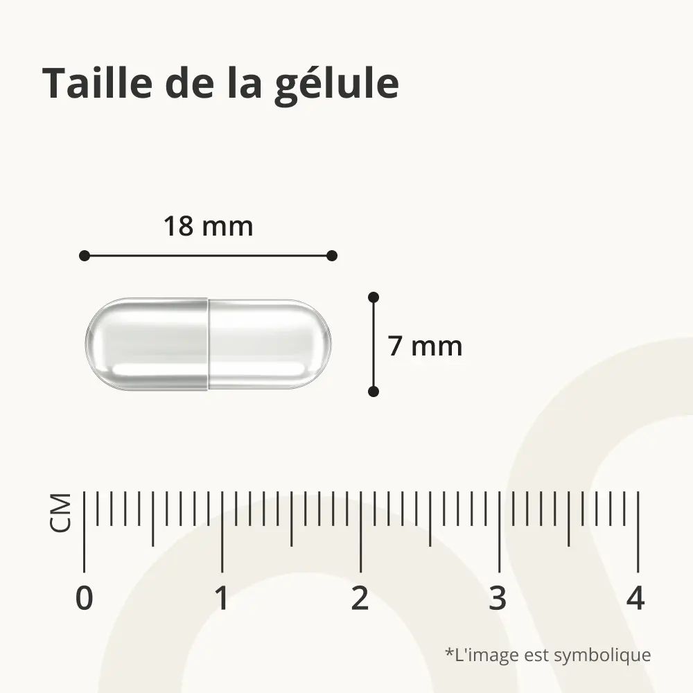 Gélule. Dimensions: 18 mm x 7 mm. Échelle en mm.