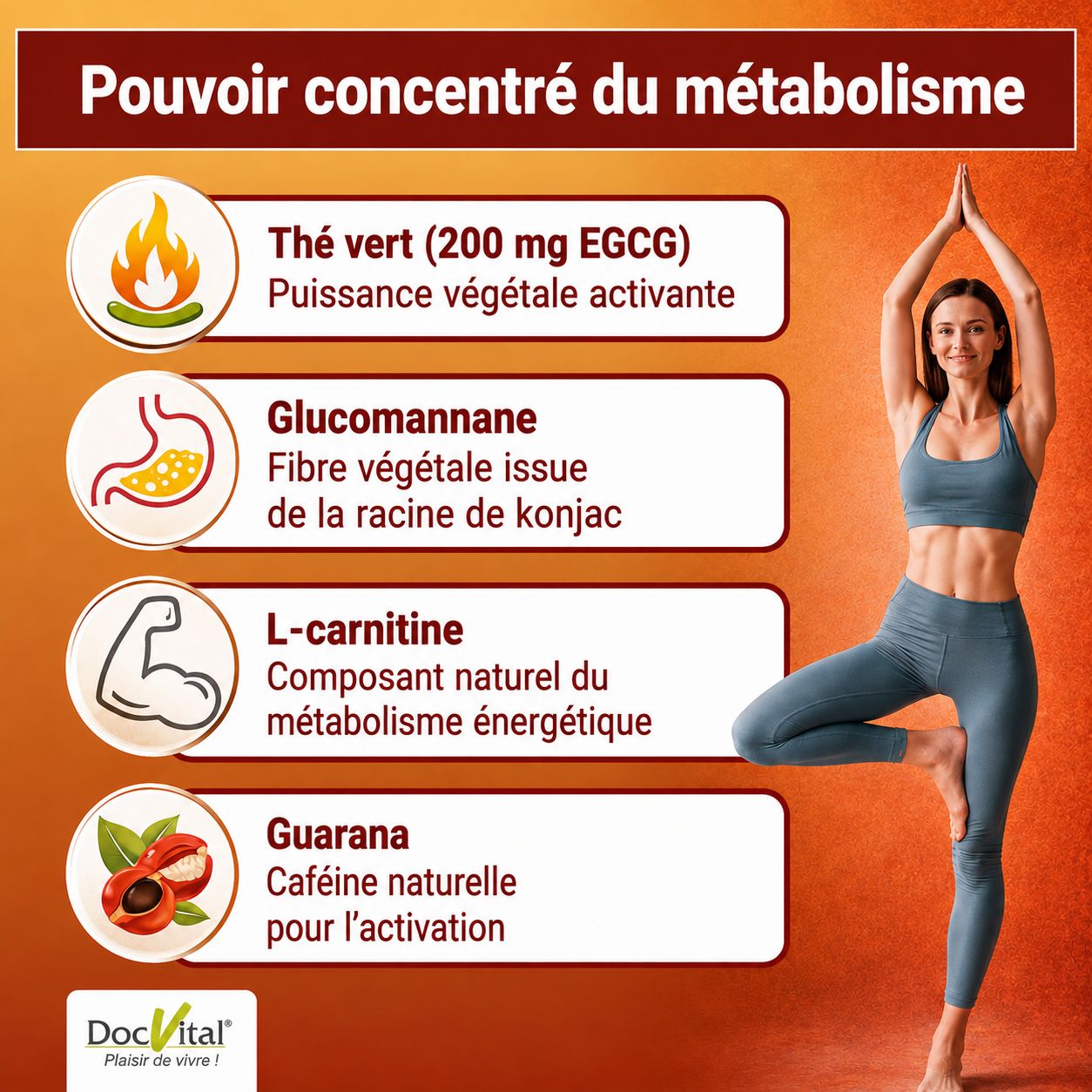 DocVital Complexe Métabolisme Gélules