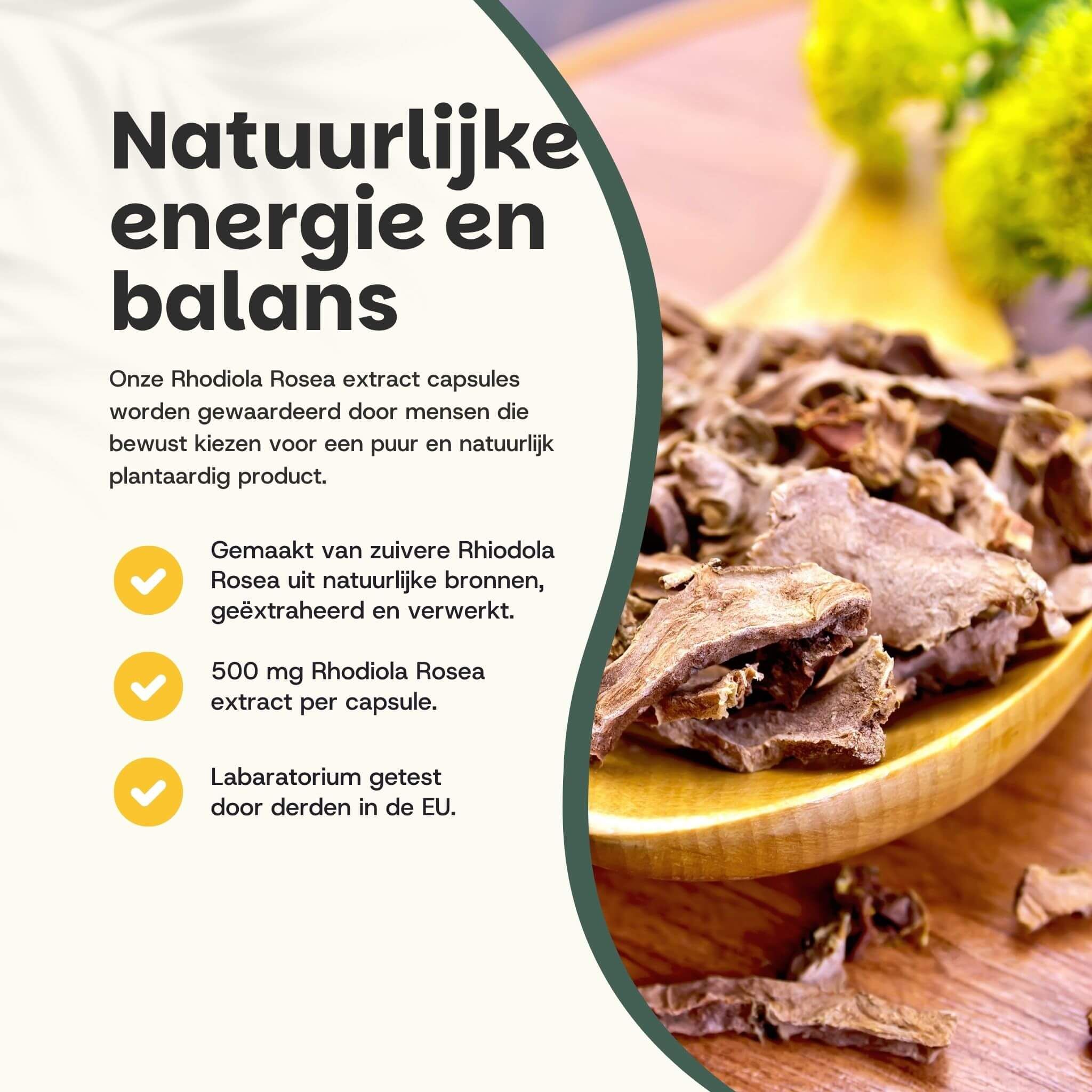 Houten lepel met Rhodiola Rosea extract. Tekst: Natuurlijke energie en balans. 500 mg extract per capsule.