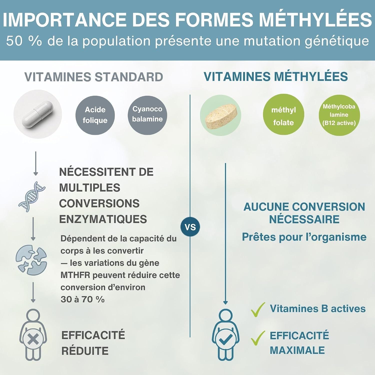 Importance des formes méthylées : Aucune conversion nécessaire, efficacité maximale.