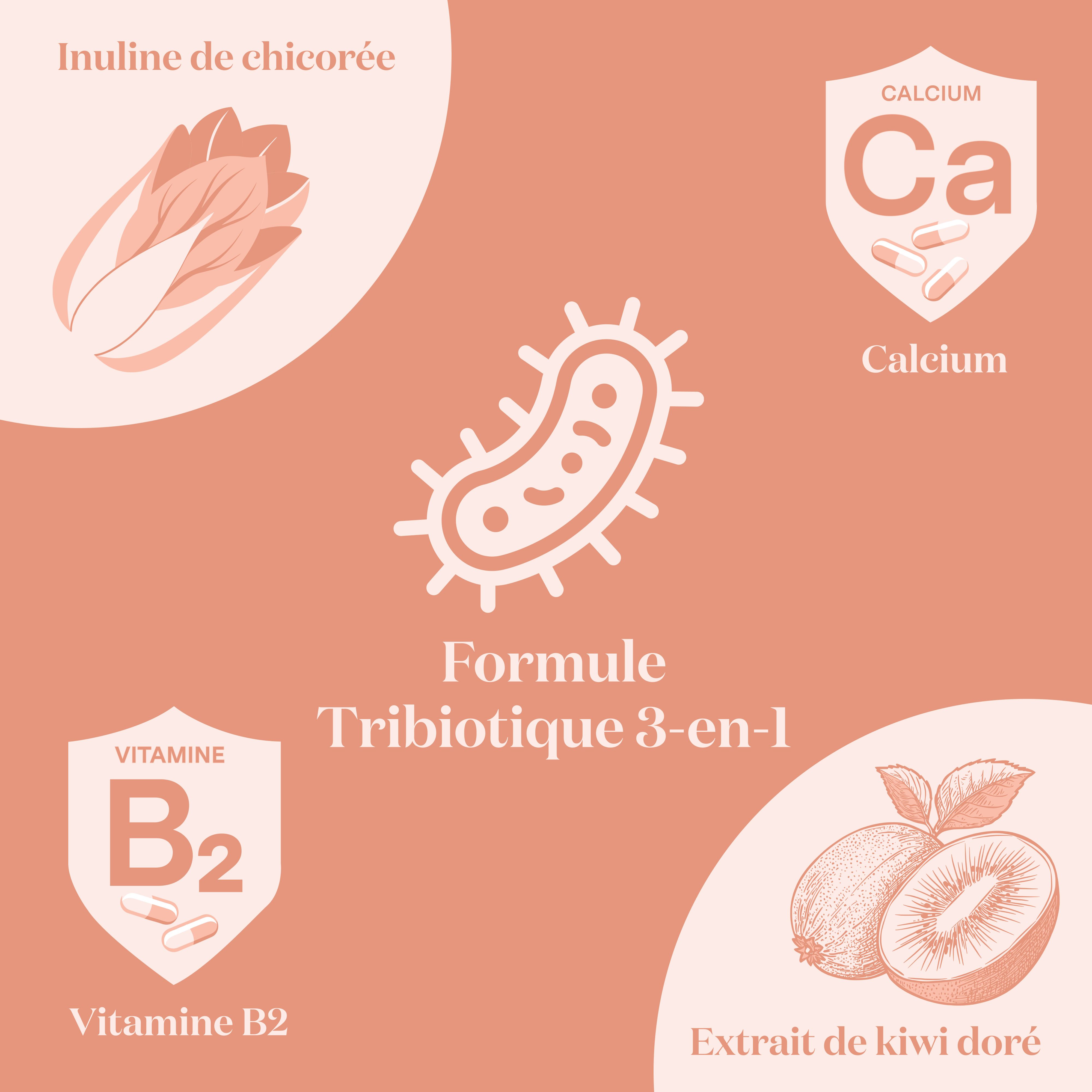 Collagène Glow25 : 2000 Dalton. Formule Tripeptide : 500 Dalton. Absorption intestinale.