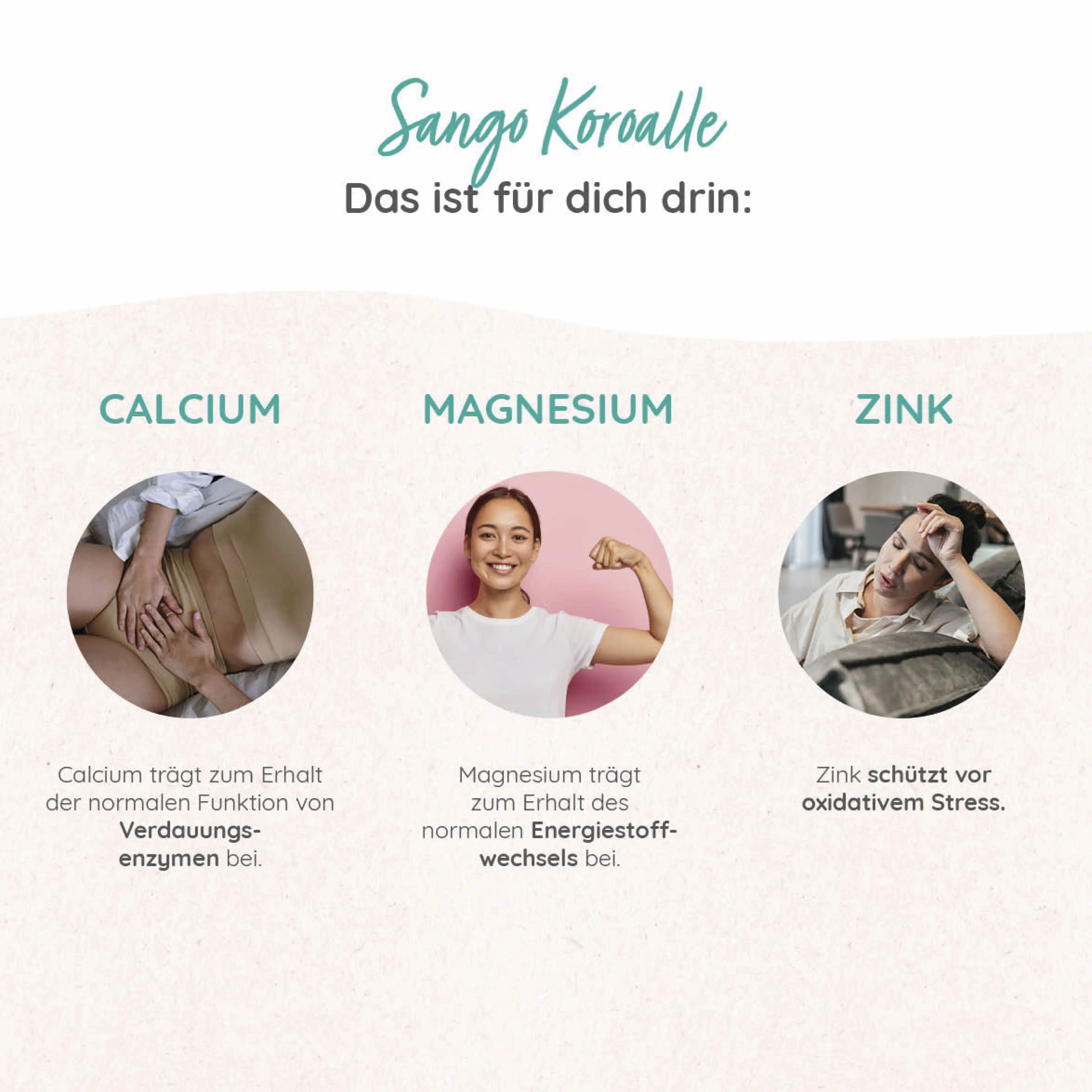Grafiek met drie cirkels: Calcium, Magnesium, Zink. Elk toont een persoon en tekst. Calcium voor spijsvertering, magnesium voor stofwisseling, zink voor stress.