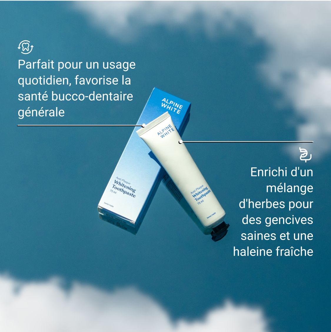 Dentifrice et boîte. Texte: ALPINE WHITE, Whitening Toothpaste. Texte: Parfait pour un usage quotidien, favorise la santé bucco-dentaire générale.