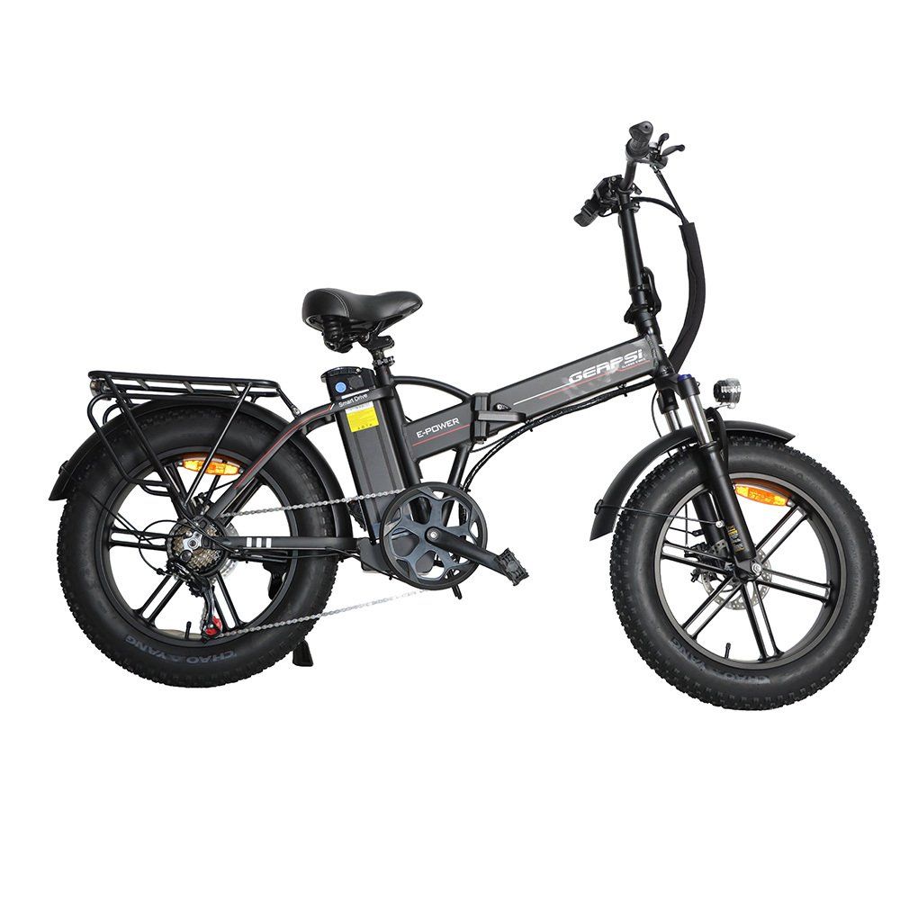BAOLUJIE DZ2002 Elektrische fatbike voor volwassenen, 48V 16Ah verwijderbare accu