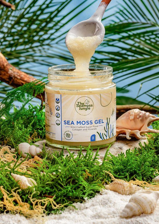 Pot Sea Moss Gel, lepel schept gel eruit. Opschriften: The Seamoss Jungle, Sea Moss Gel, Wild Crafted Super Food. Planten en schelpen.