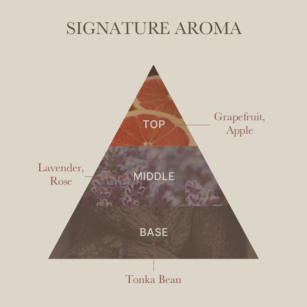 Pyramide avec texte: SIGNATURE AROMA. Haut: Pamplemousse, Pomme. Milieu: Lavande, Rose. Bas: Fève tonka.