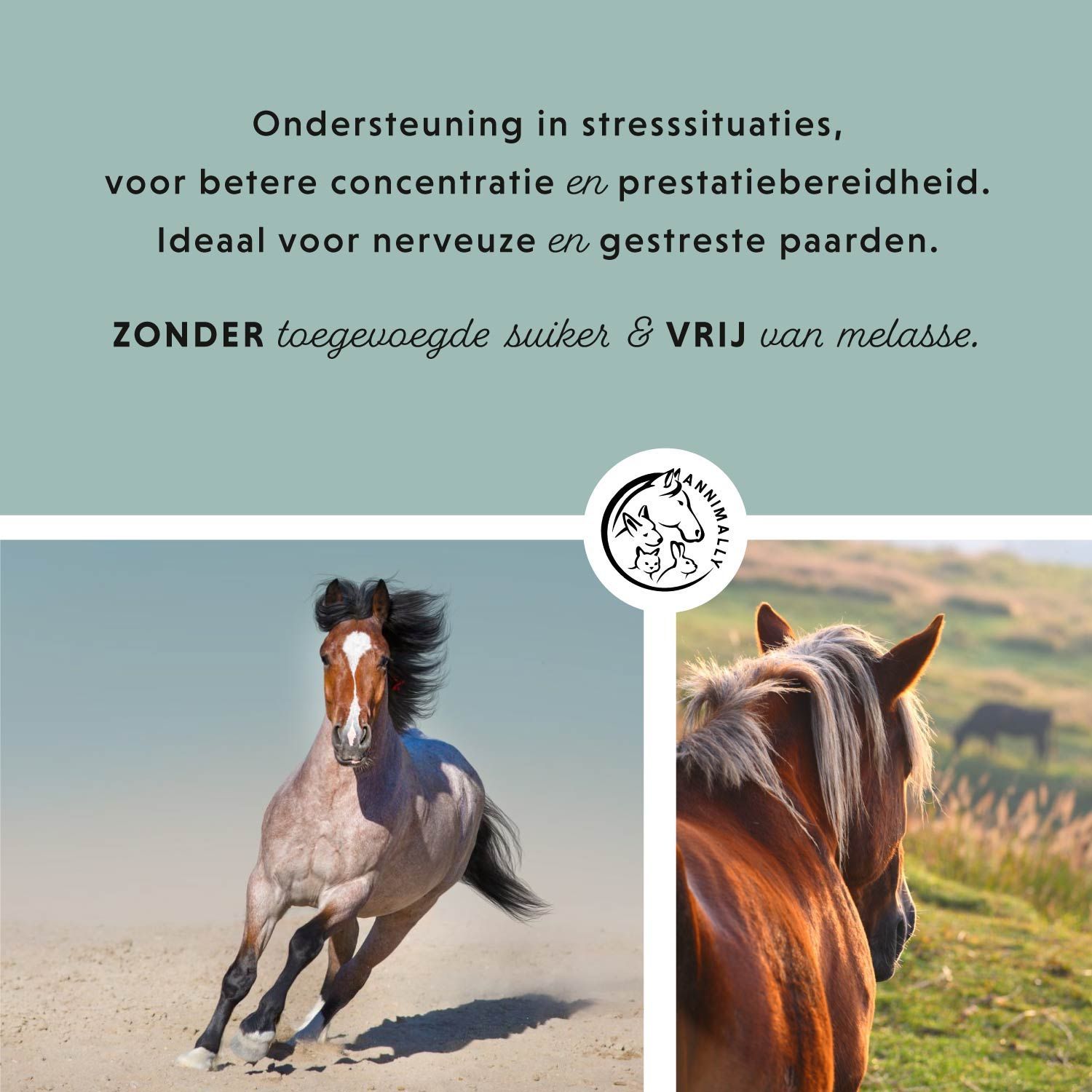 Paard rent. Tekst: Ondersteuning in stresssituaties, voor meer concentratie. Ideaal voor nerveuze paarden. Zonder suiker & melasse.