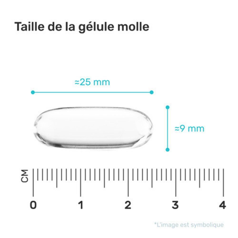 Gélule molle, env. 25 mm de long, 9 mm de large. Lignes bleues indiquant les dimensions. Inscription : Taille de la gélule molle.