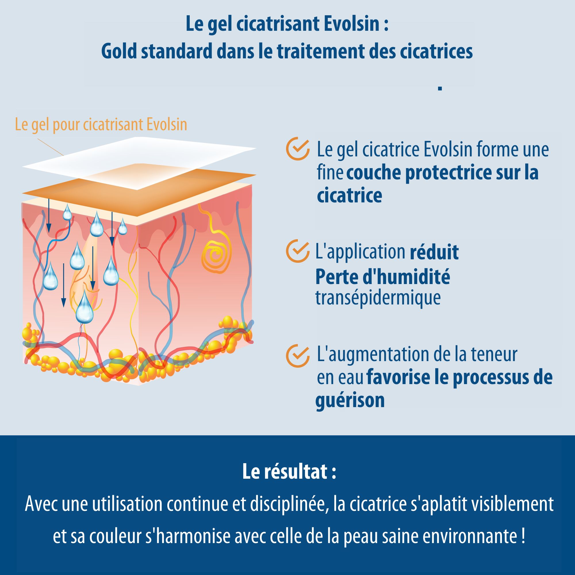 Image du produit : Evolsin Narben Gel, tube et boîte, avec logo et nom du produit.