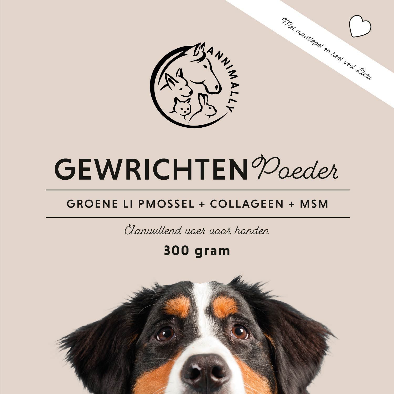 Witte hond in gras. Tekst: Groenlipmossel, MSM, collageen, hyaluron. Ideaal gecombineerd met glucosamine, chondroïtine & calcium.