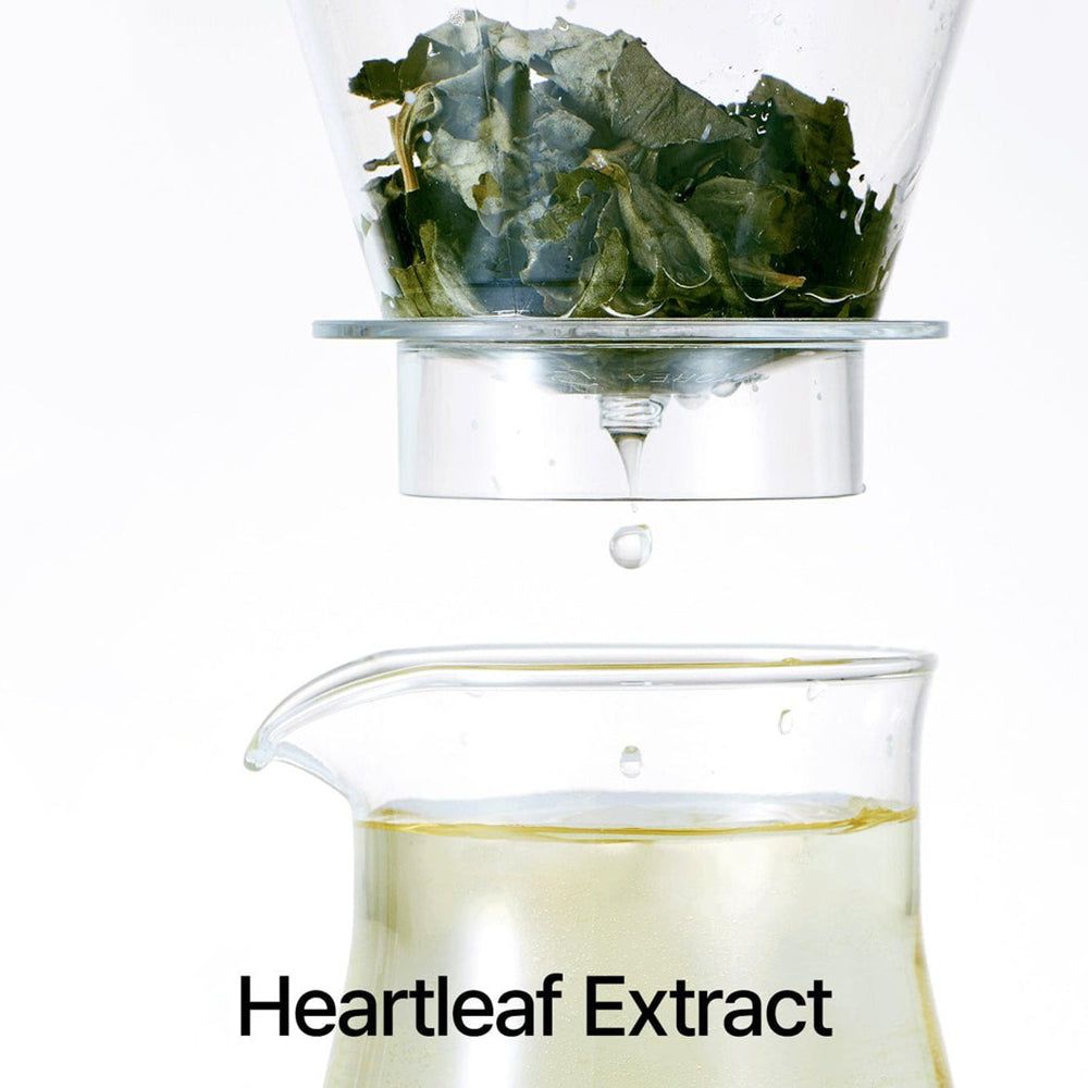 Liquide clair qui coule d'un récipient en verre à un autre. Feuilles en haut, texte en bas : "Heartleaf Extract".