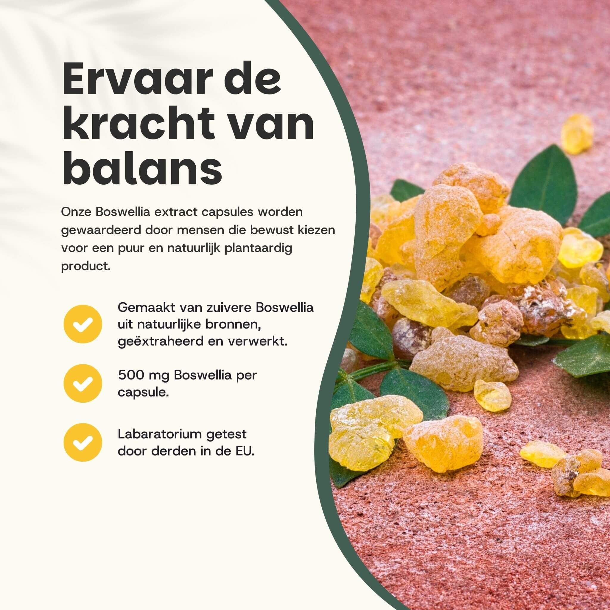 Cupplement - Boswellia Extract  500 mg