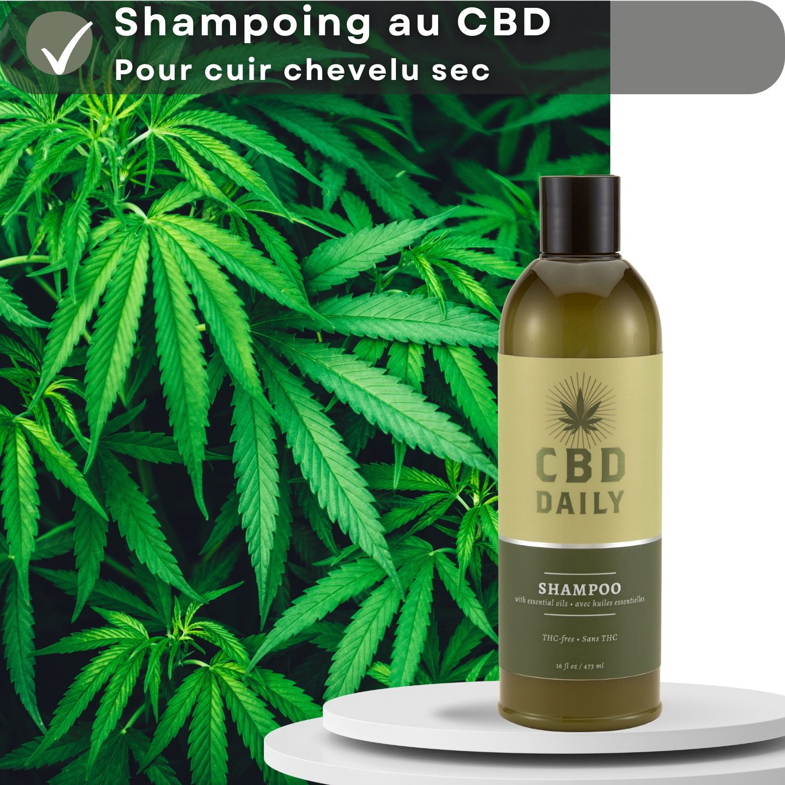 Flacon de shampooing au CBD. Texte: Shampooing au CBD, pour cuir chevelu sec.