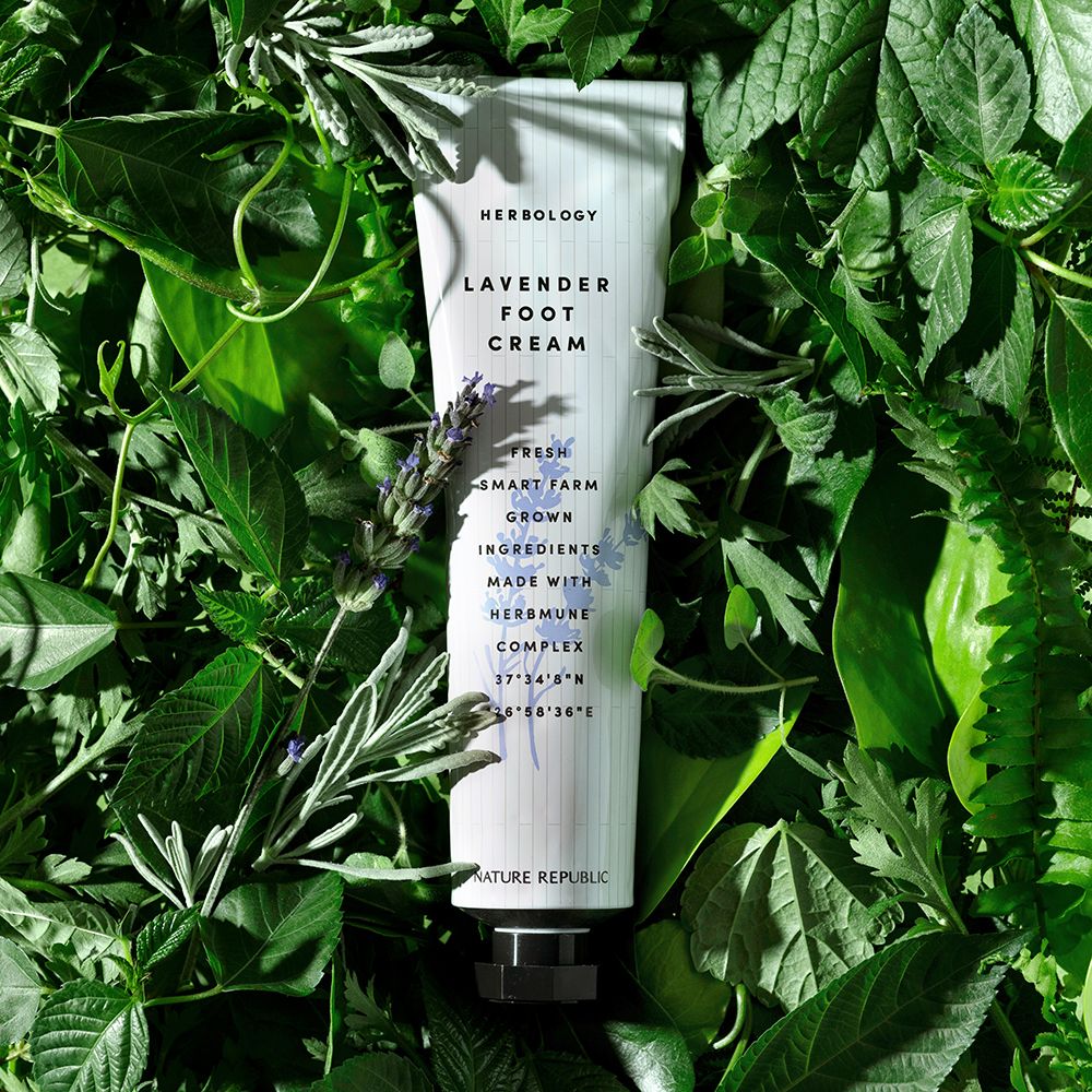 Voetcrèmetube op bladeren. Tekst: Herbology, Lavender Foot Cream, Fresh, Smart Farm, Grown Ingredients, Made with HerbMune Complex. Merk: NATURE REPUBLIC.