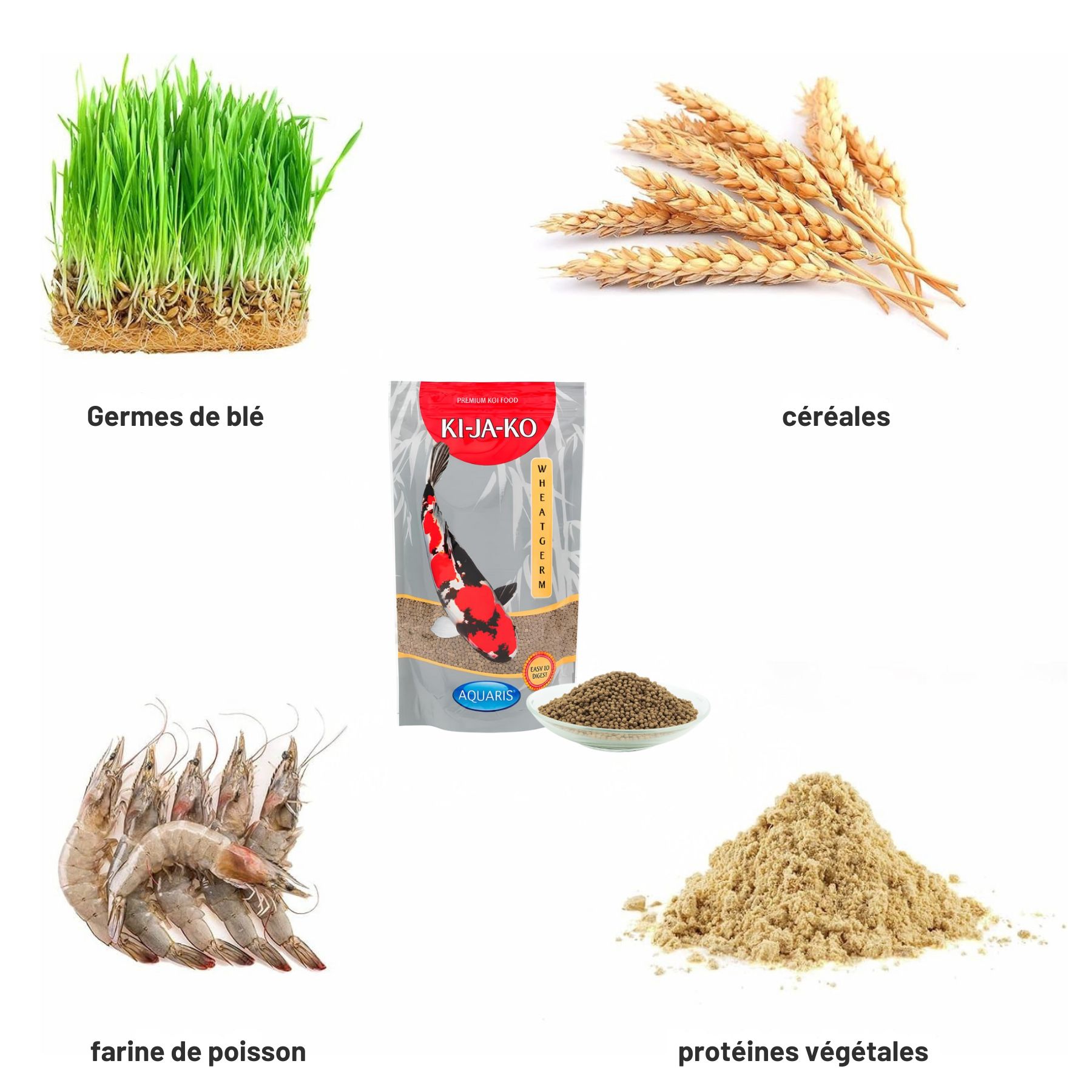 Ingrédients pour nourriture pour poissons: germes de blé, céréales, farine de poisson, protéines végétales.