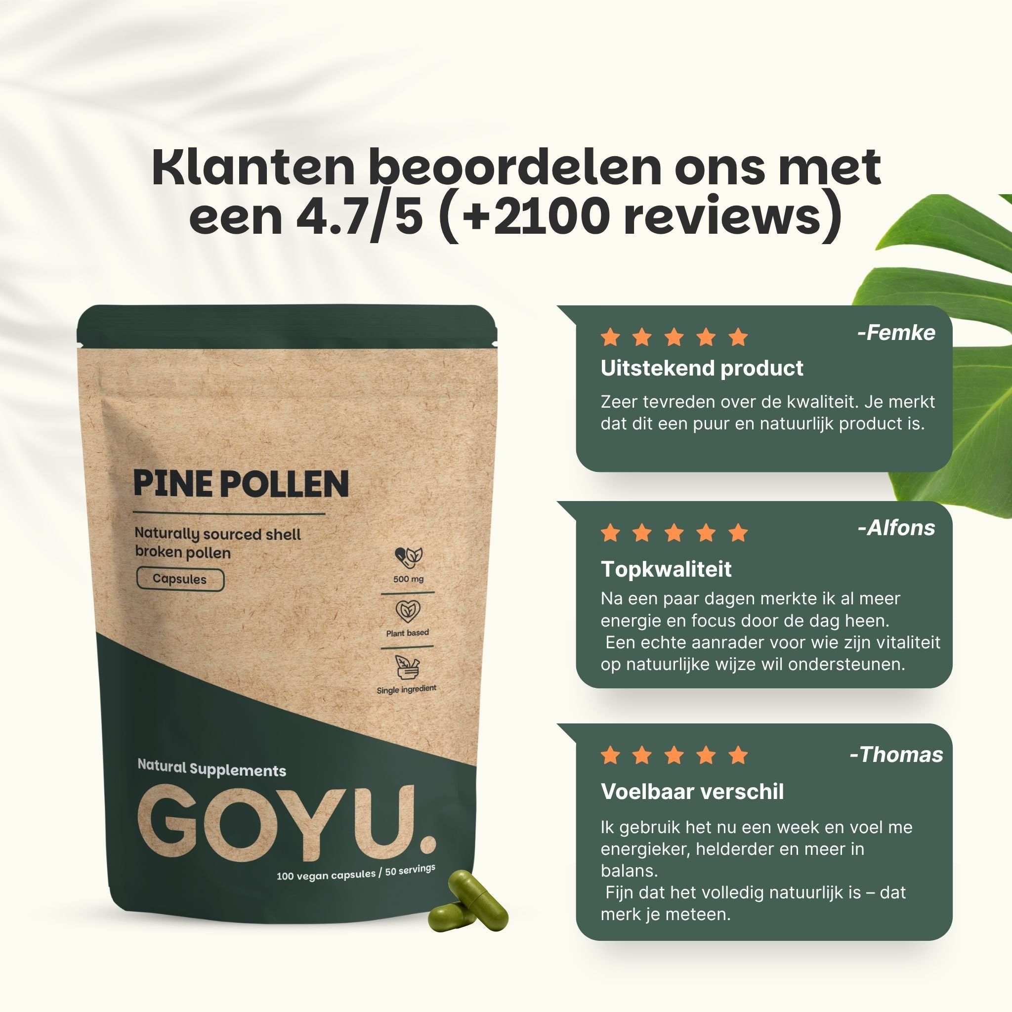 Een groene capsule met poeder. Labels: Slechts 1 ingrediënt, 100% natuurlijk, geen vulstoffen, vegan capsule, kwalitatief.