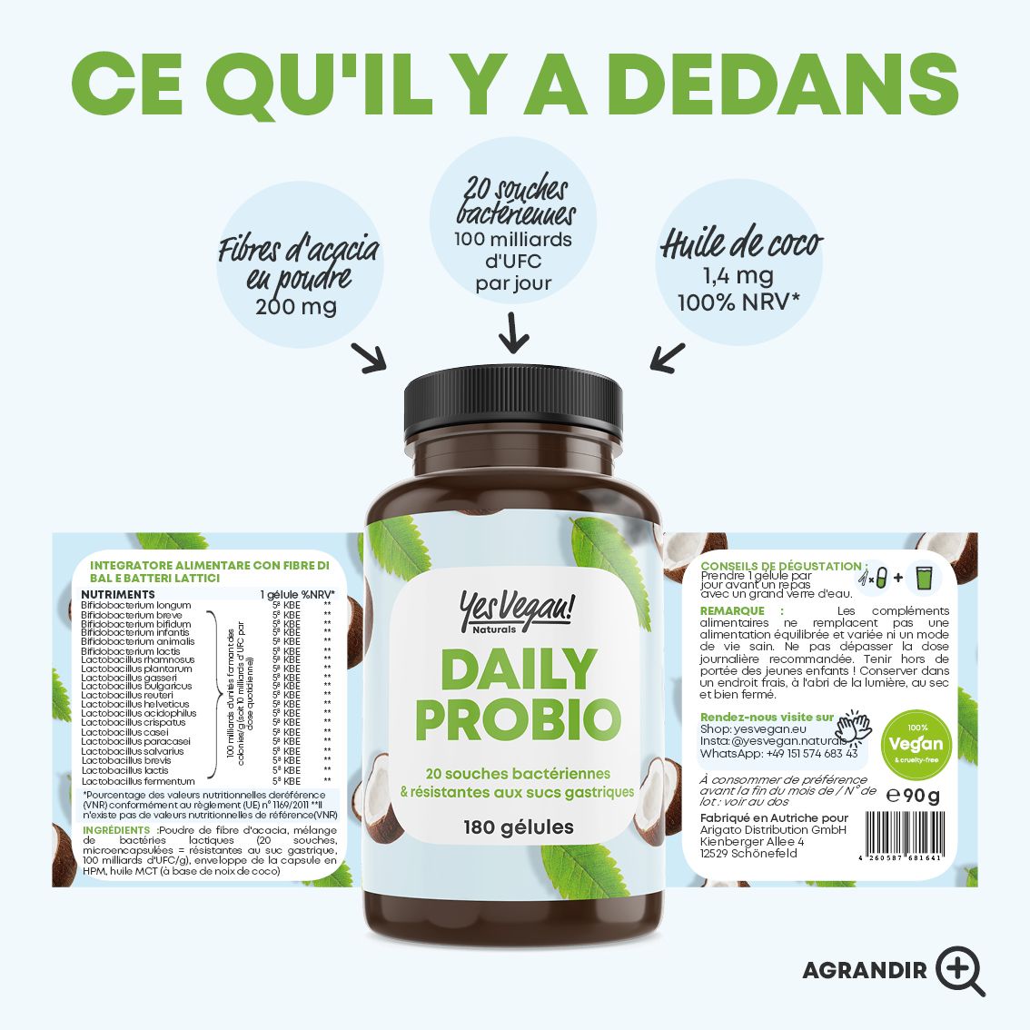 Ingrédients détaillés de Daily Probio : fibre d'acacia, 20 souches bactériennes, huile de coco.
