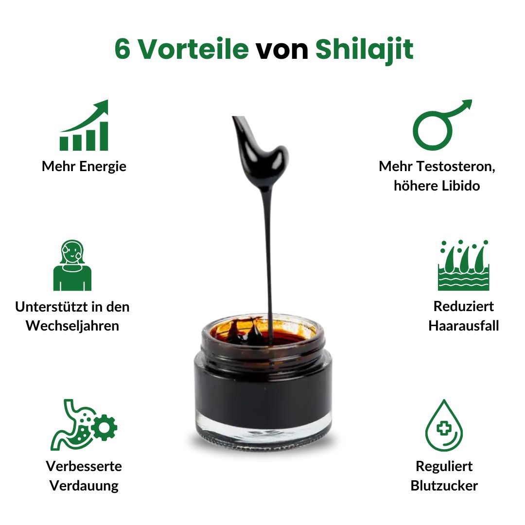 Grafiek met 6 voordelen van Shilajit. Symbolen: energie, testosteron, menopauze, haaruitval, spijsvertering, bloedsuiker.