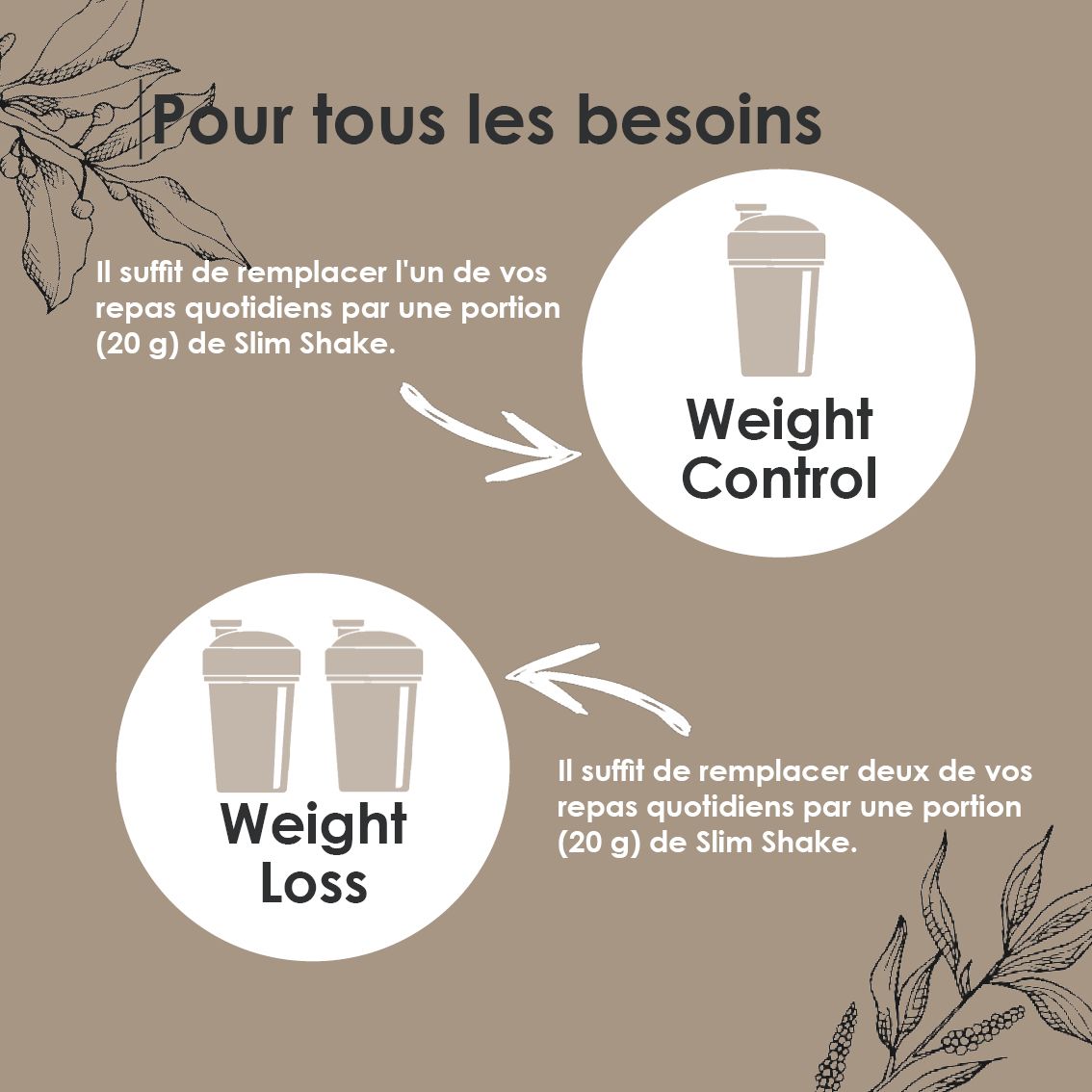 Poudre avec 207 kcal, 18,6g de protéines, 25 vitamines et minéraux. Sans gluten et végétarien.