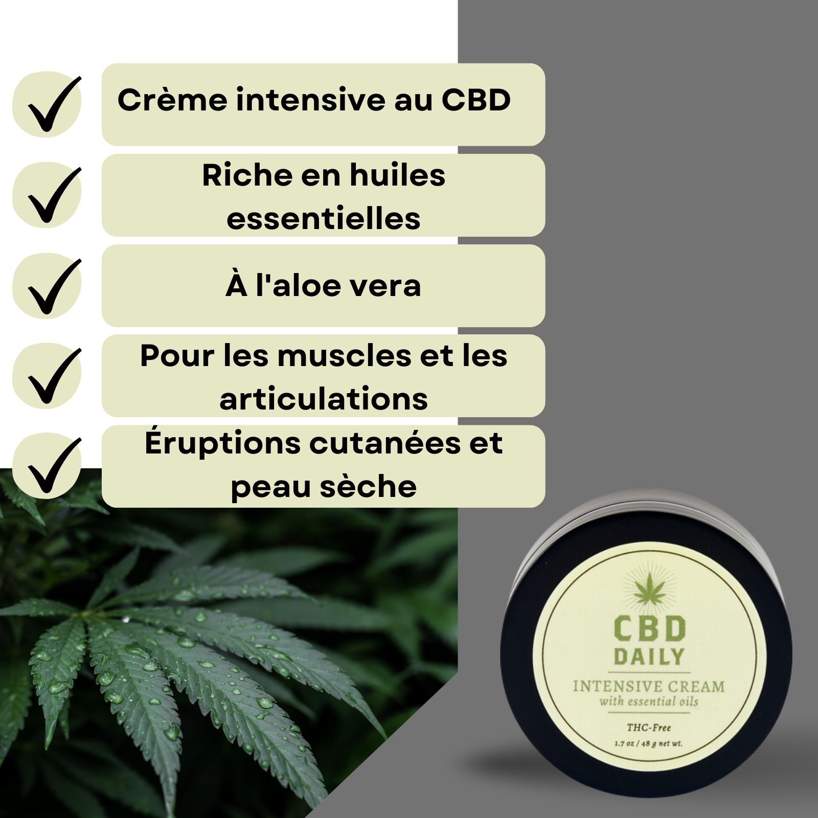 Pot de crème, à côté du texte. Texte: Crème intensive au CBD, huiles essentielles, aloe vera.
