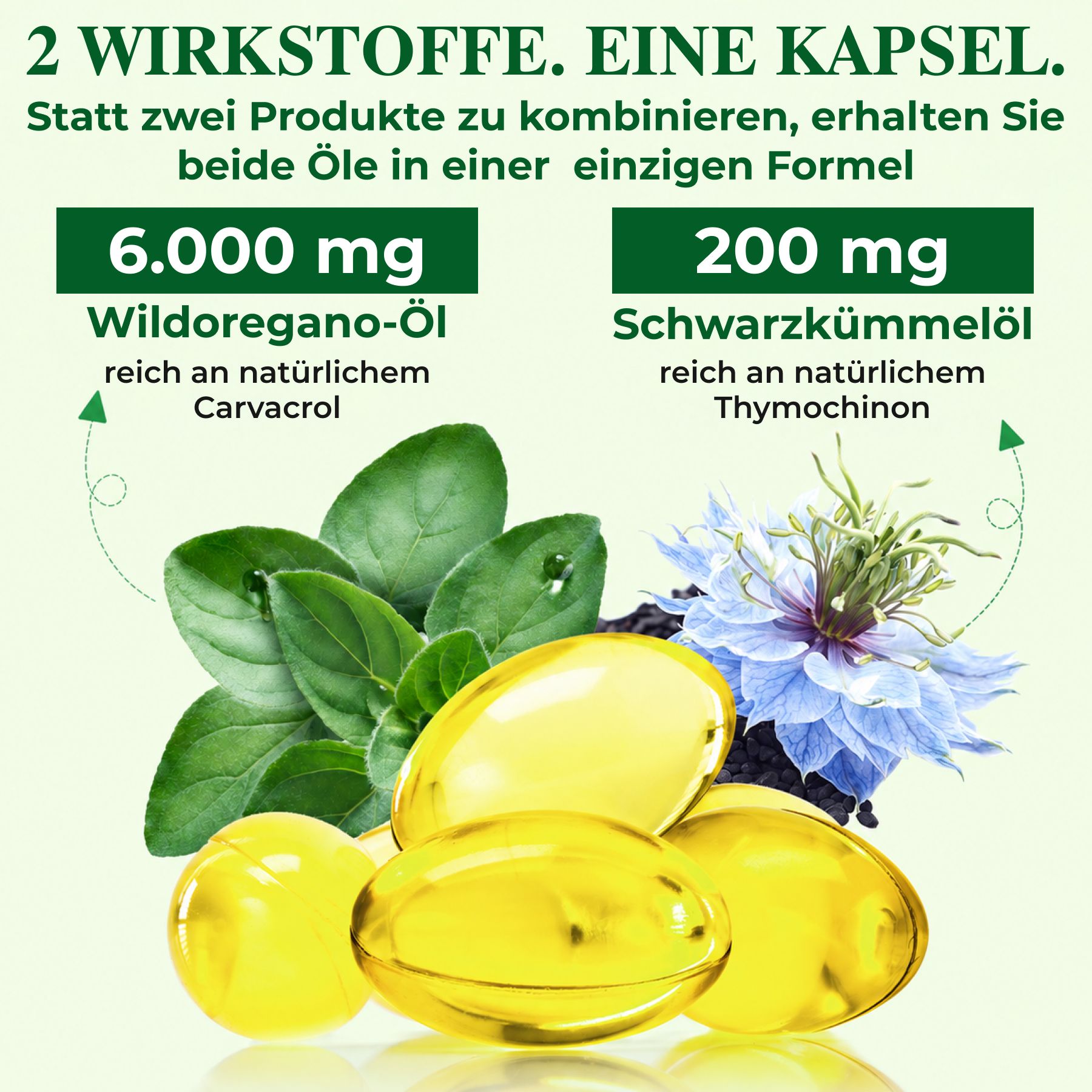 P-beauty Wilde Oregano-olie 6000 mg Zwarte Komijnolie Carvacrol Thymochinon