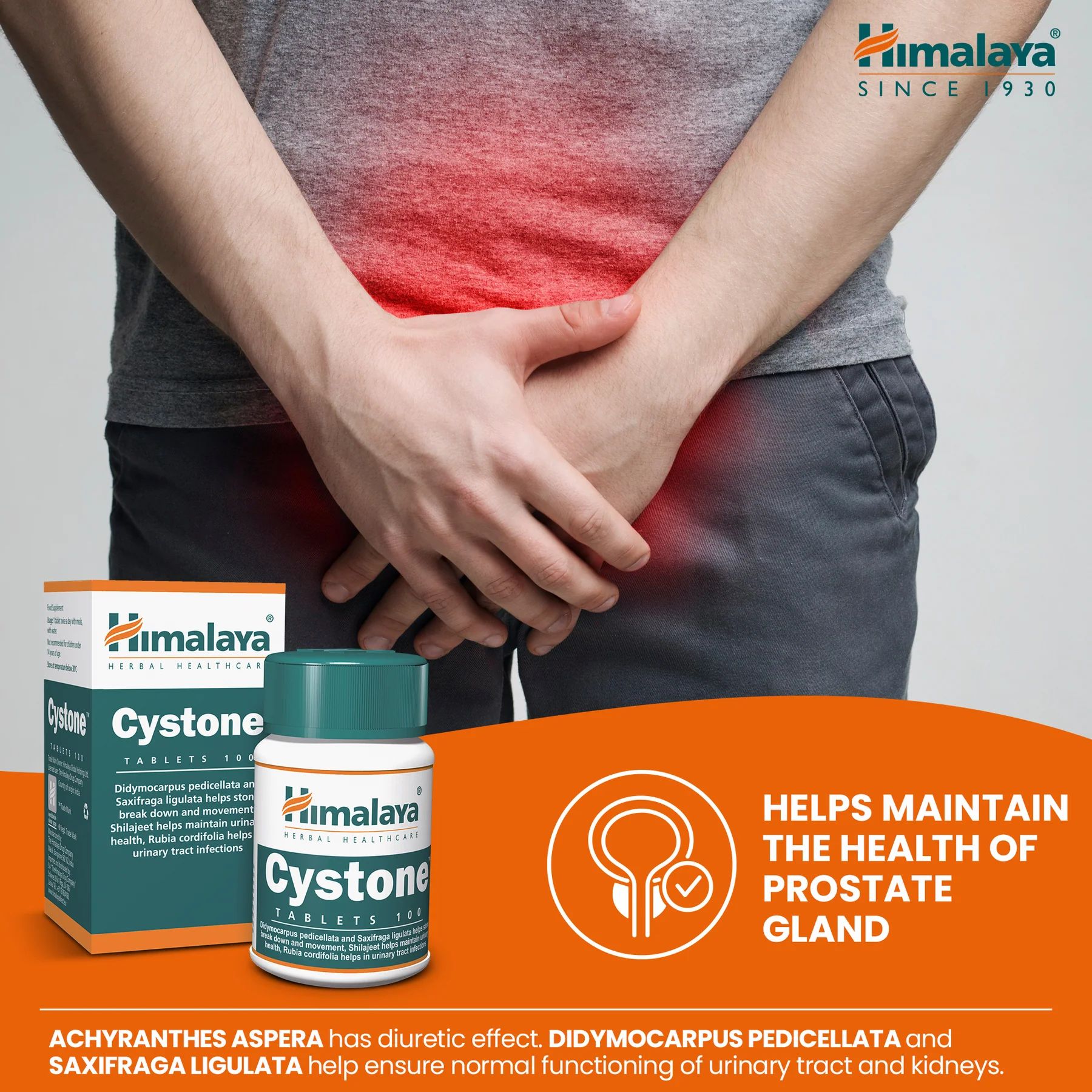 Himalaya Cystone tabletten en een persoon die zijn geslachtsdelen vasthoudt. Tekst: Helpt de gezondheid van de prostaat te behouden.