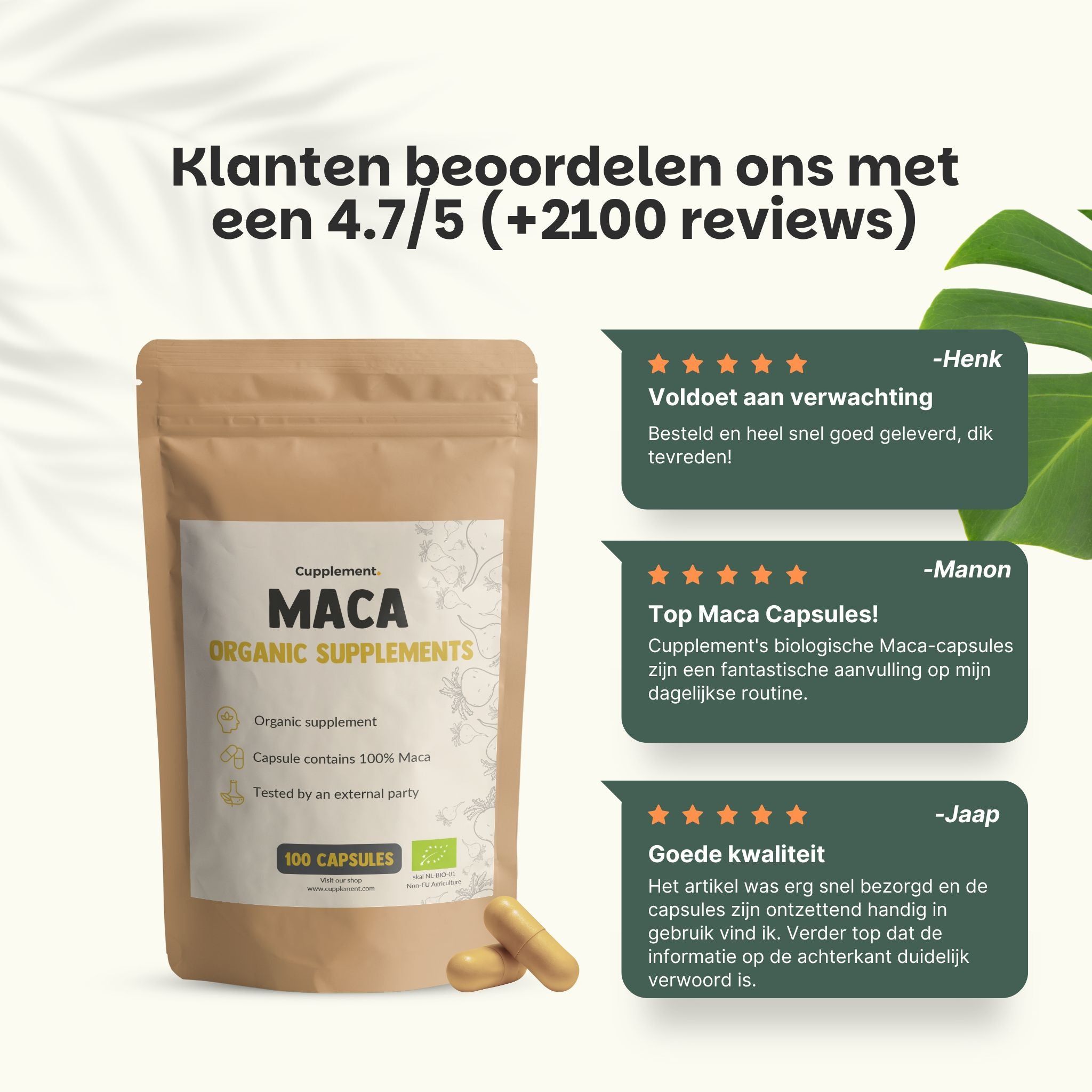 Kom met poeder, Maca-wortel en tekst. 500 mg Maca per capsule. Vegan capsules. Laboratorium getest.