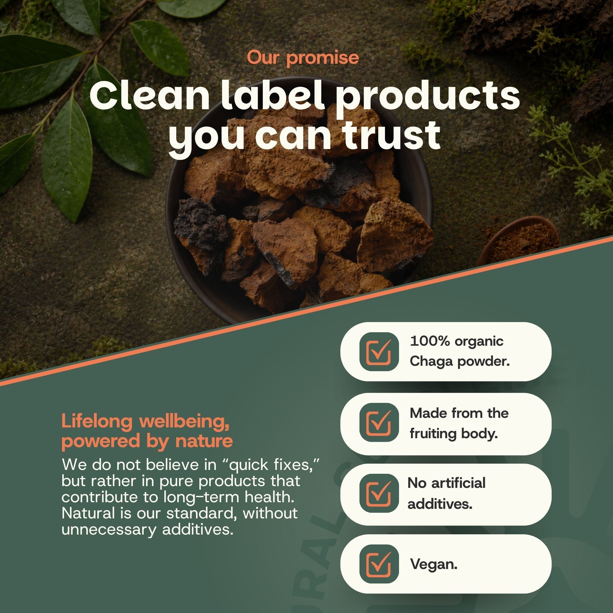 Morceaux de champignon Chaga dans un bol, entourés de feuilles. Liste des caractéristiques du produit.