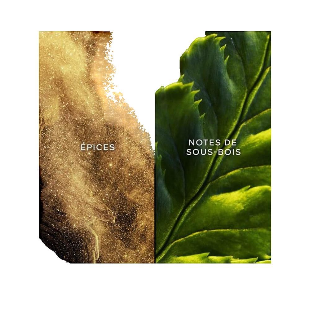 Twee helften: goudkleurige deeltjes en groen blad. Tekst: ÉPICES en NOTES DE SOUS-BOIS.
