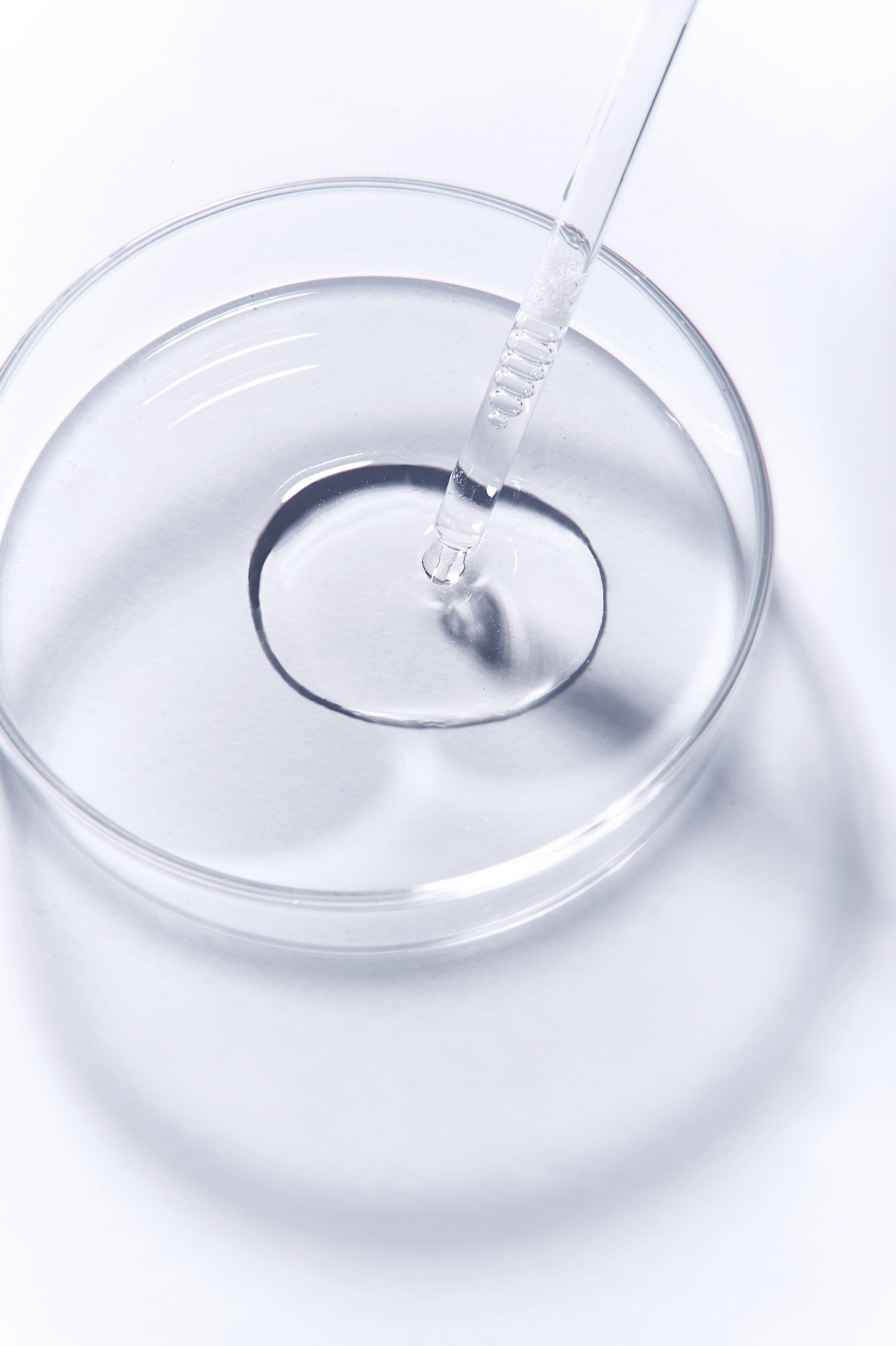 Une pipette dépose du liquide dans un récipient rond et transparent.