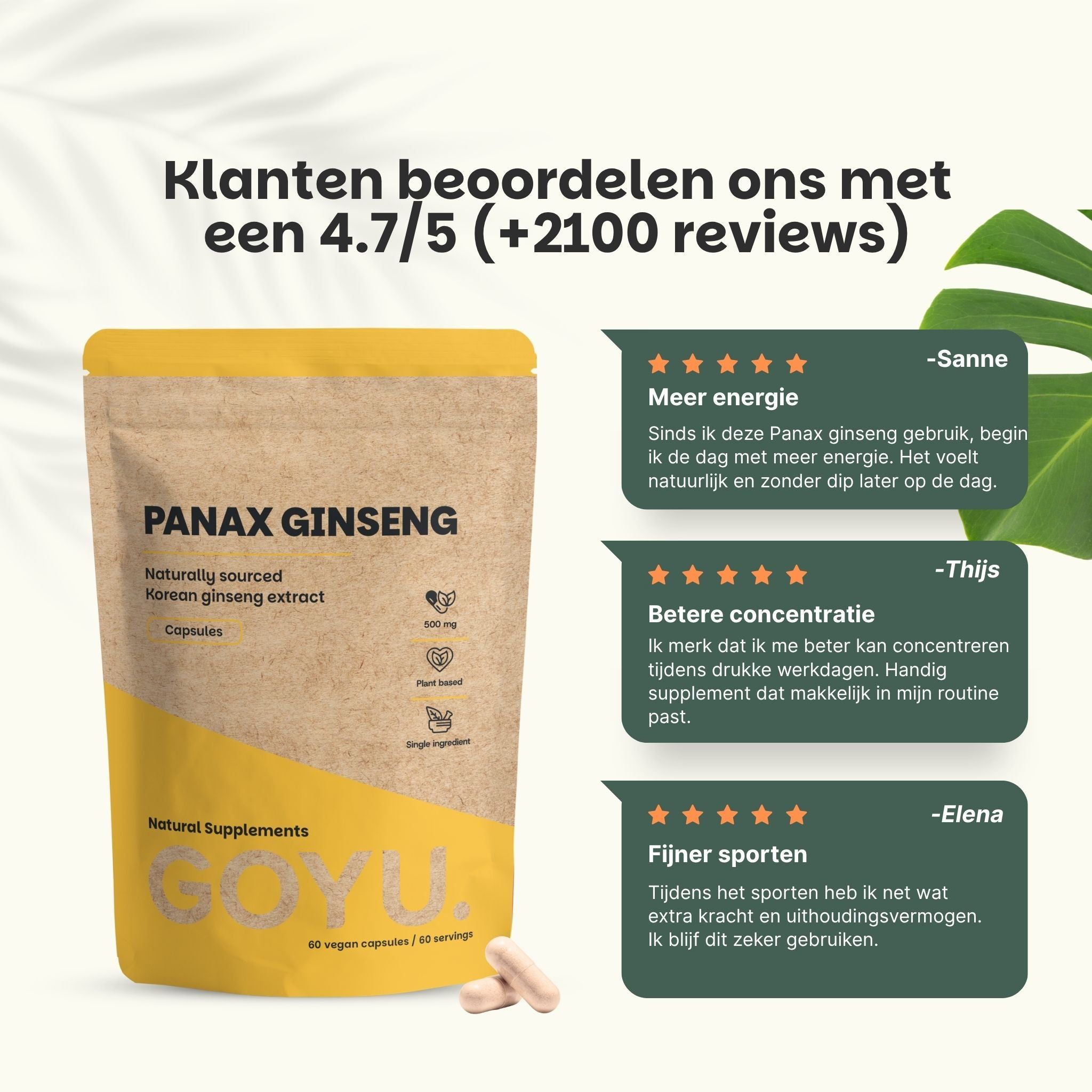 Klantbeoordelingen voor Panax Ginseng capsules: Meer energie, betere concentratie, meer sportplezier.