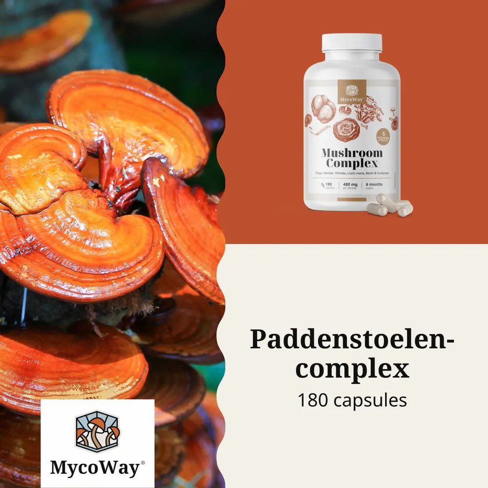 Bruine achtergrond met witte pilfles. Opschrift: Mushroom Complex. 180 capsules. Bevat L-Leucine.