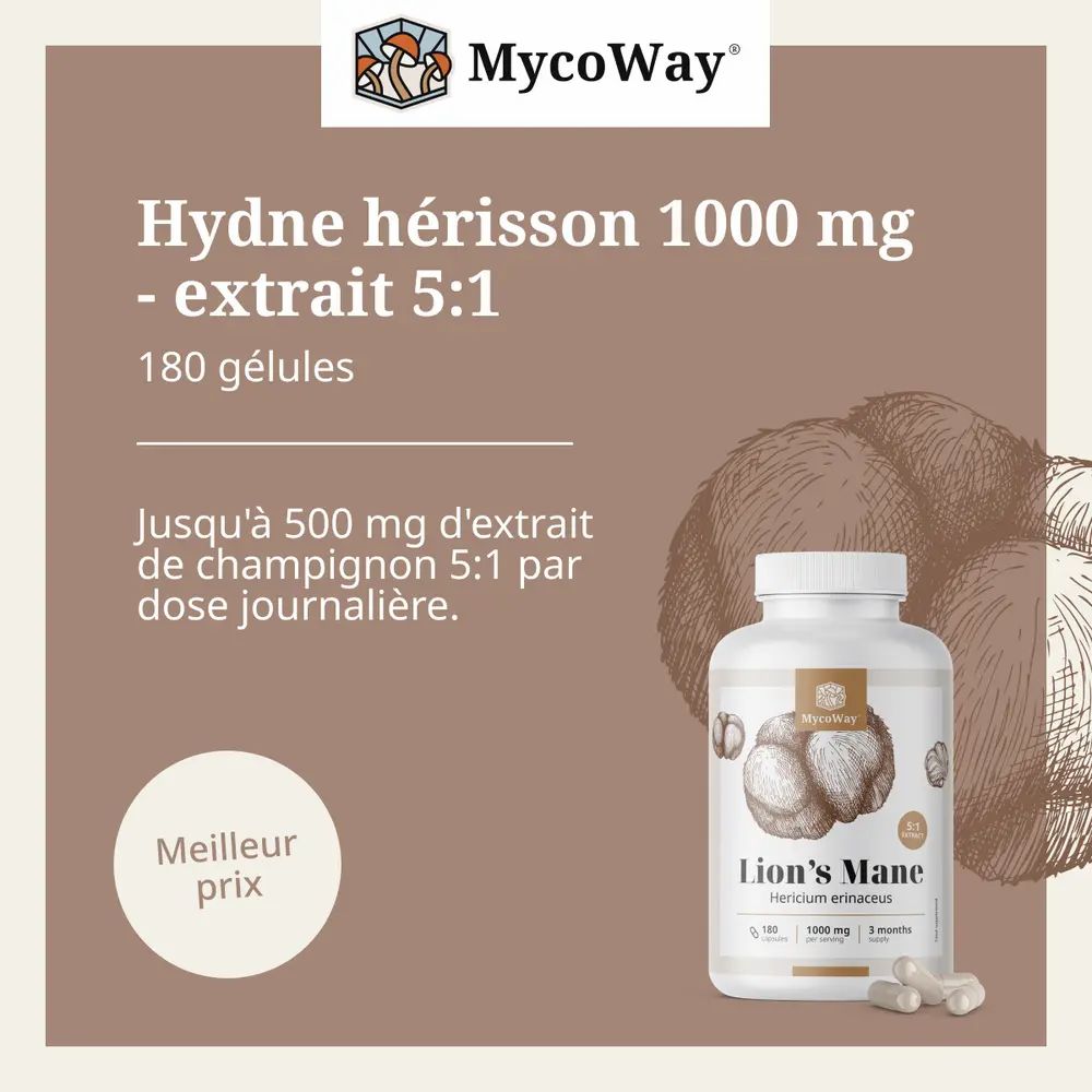 Flacon Lion's Mane et gélules. Texte : Hydne hérisson 1000 mg - extrait 5:1. Marque : MycoWay.
