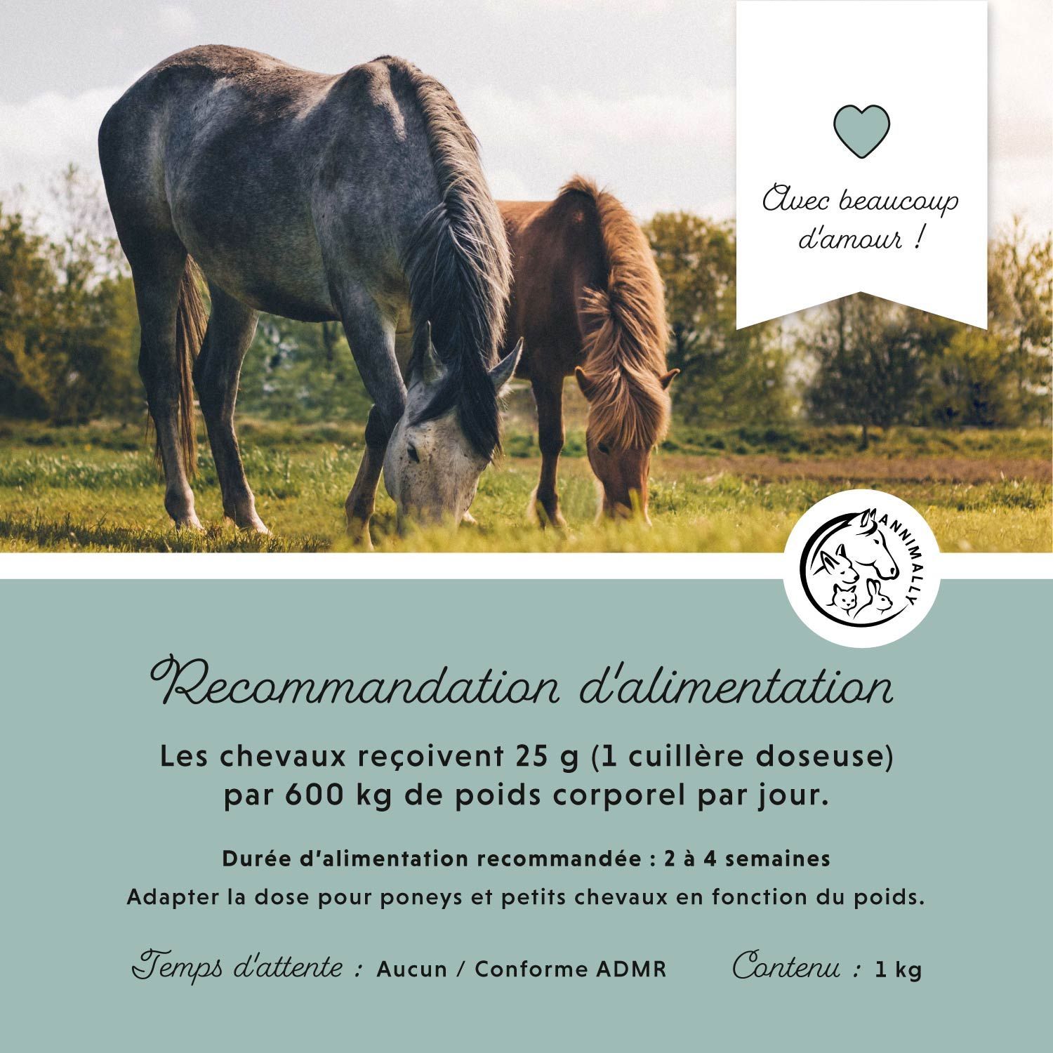 Deux chevaux dans un champ. Texte: Recommandations alimentaires: 25 g par 600 kg de poids corporel. Contenu: 1 kg.